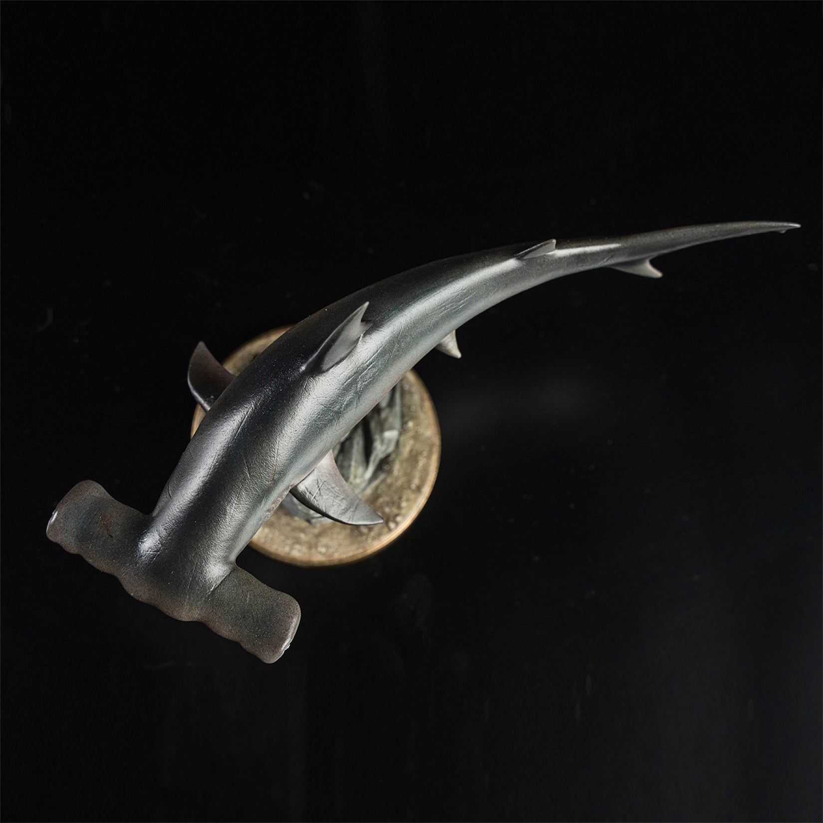 Great Hammerhead Model