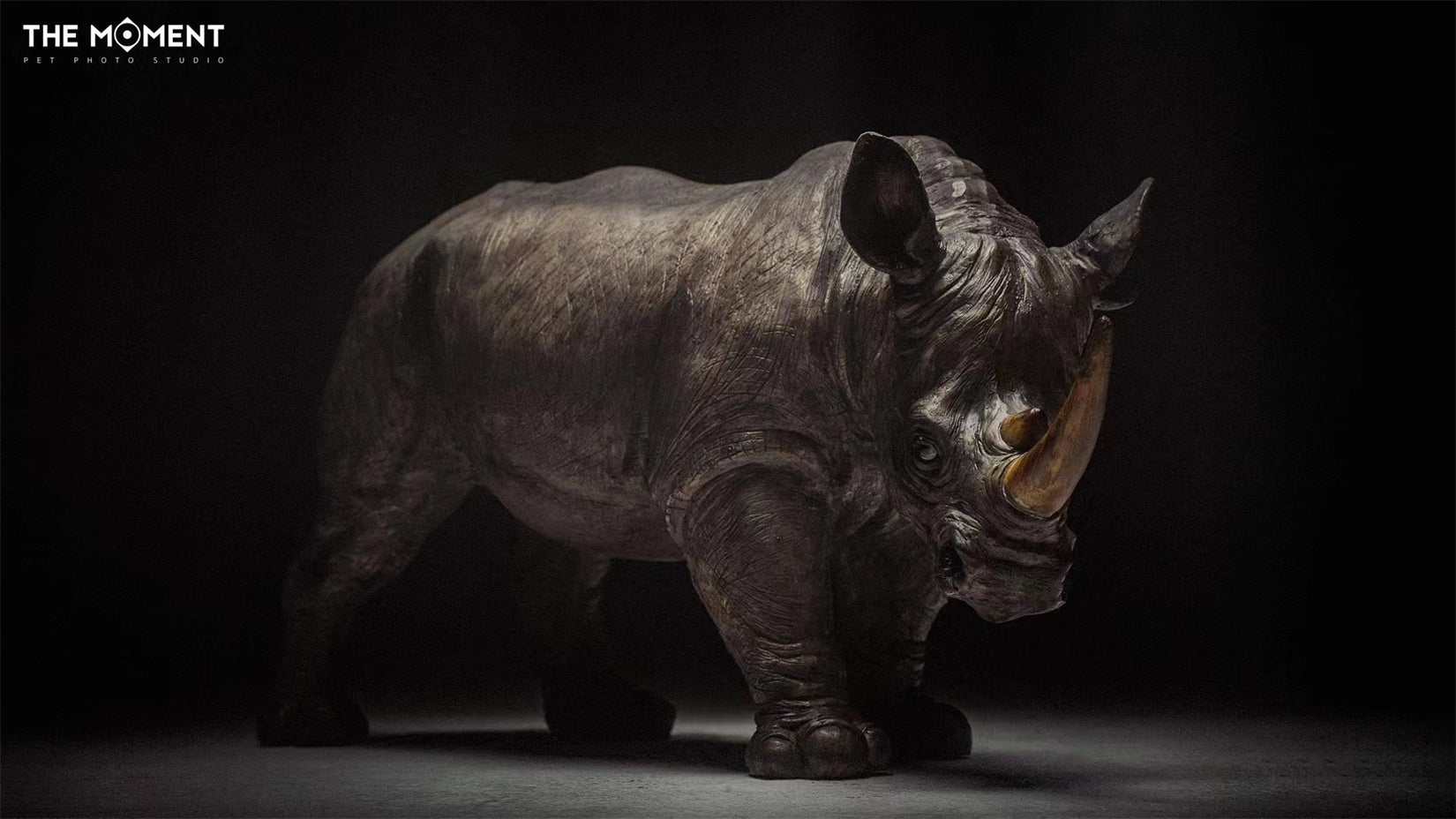 BOWUZHI Studio Sumatra-Orang-Utan-Modell im Maßstab 1:6