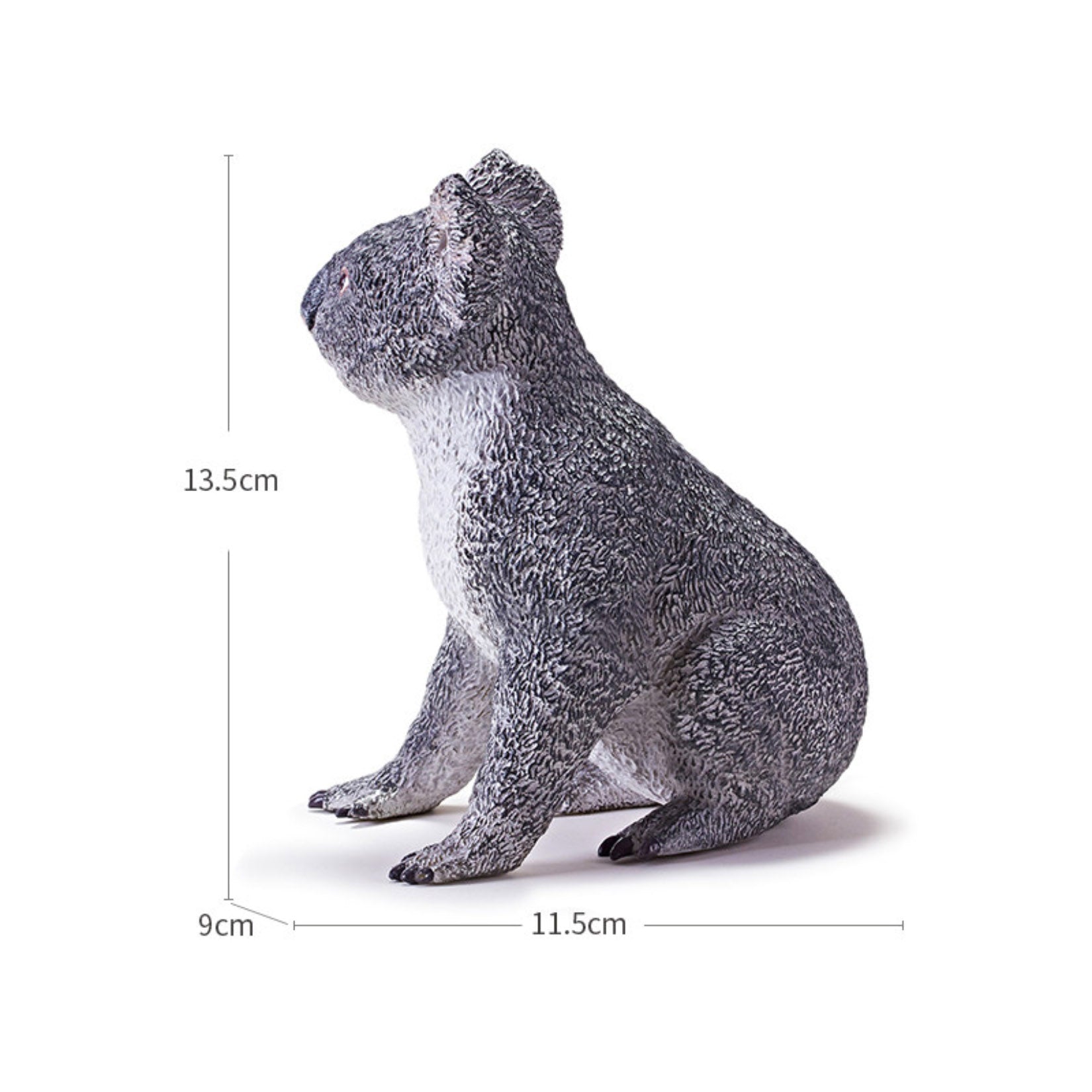 RECUR Koala Animal Model