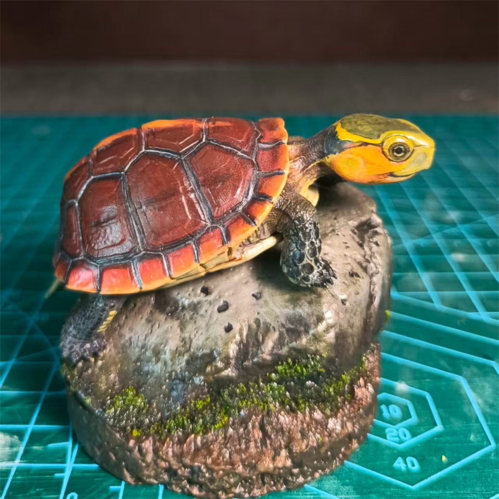 Yellow-margined Box Turtle Baby Scene Decoration