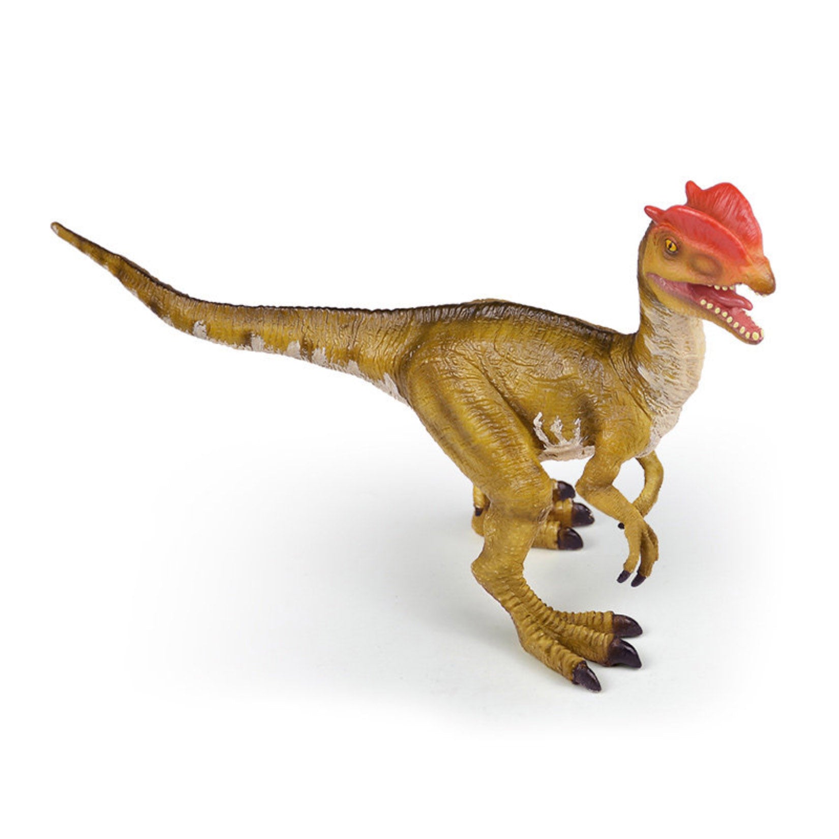 RECUR Dilophosaurus Model