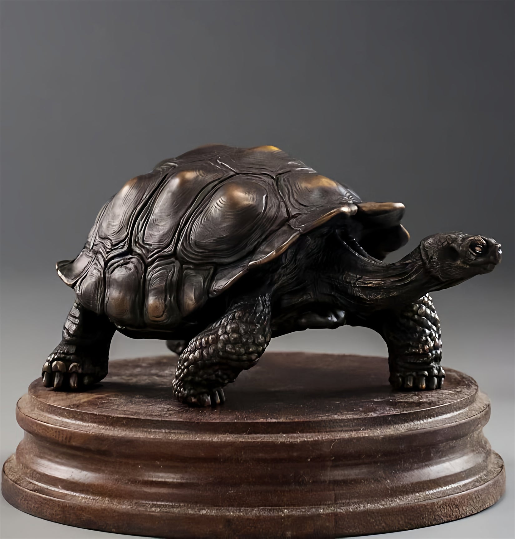 BOWUZHI Studio Plus Chelonoidis Galapagoensis Model