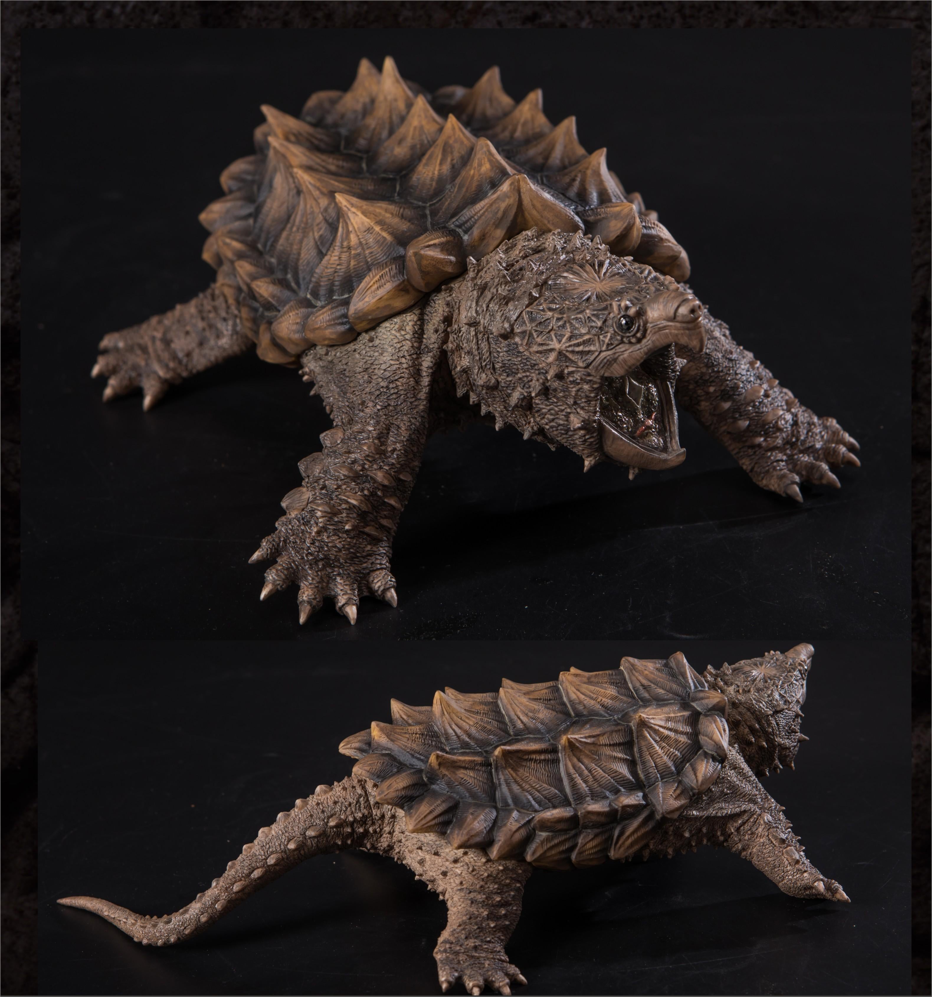 Macrochelys Temminckii Figure