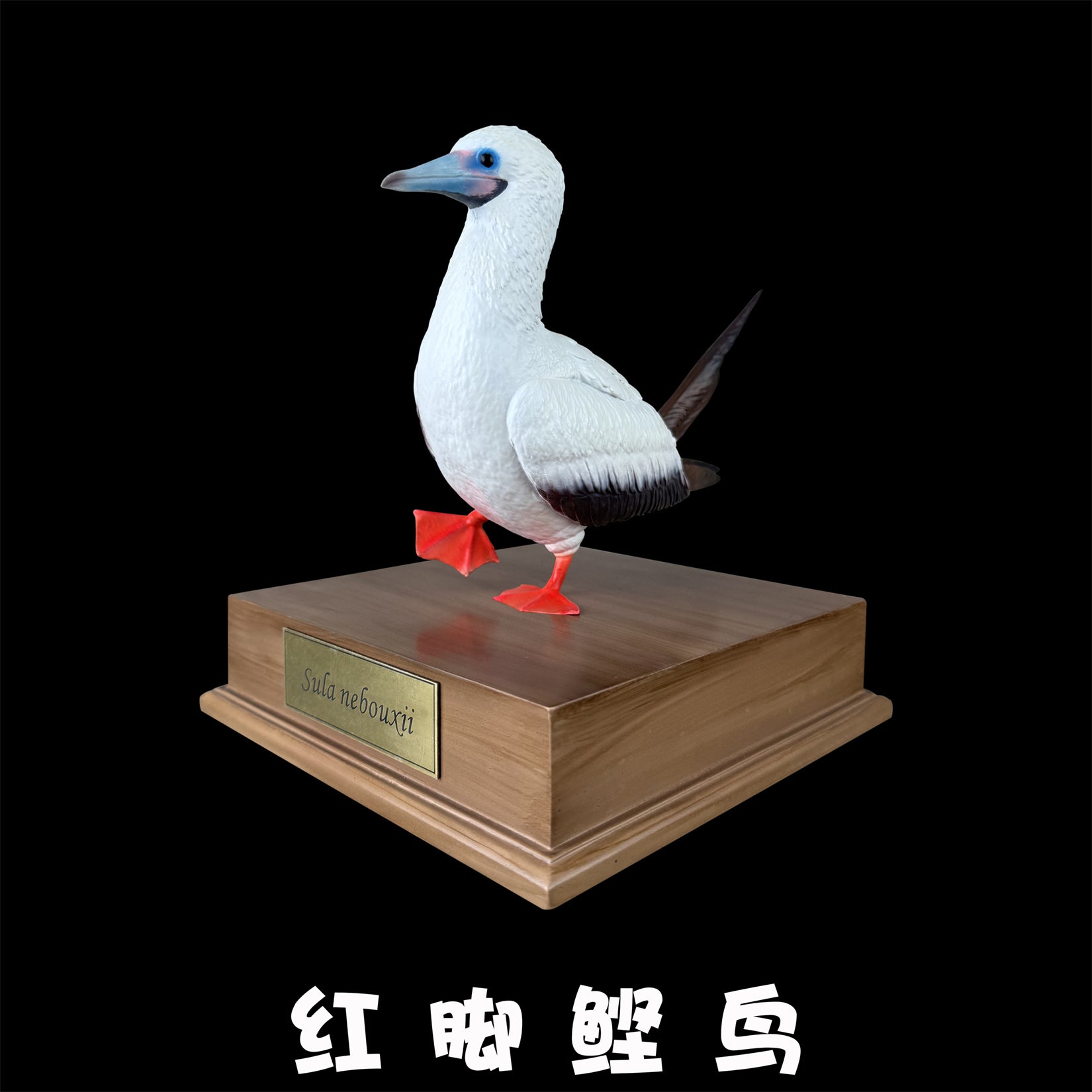 BOWUZHI Studio Red-Footed Booby Bird Figurine