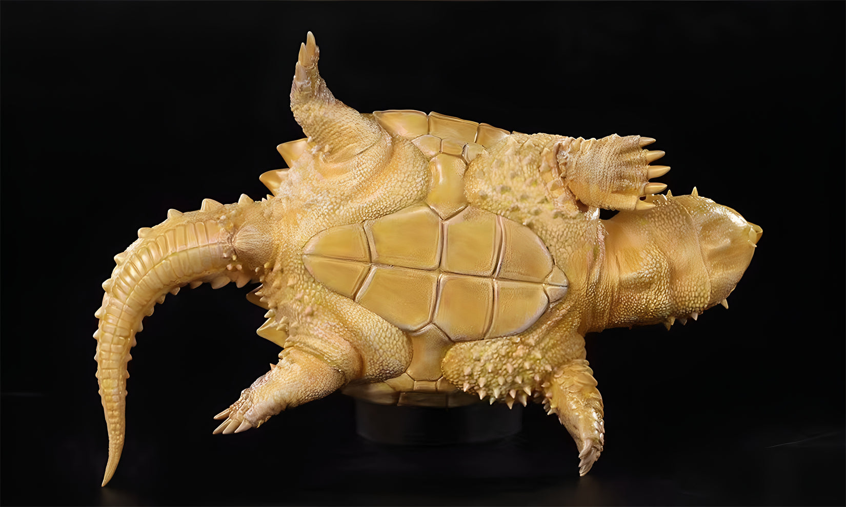 Schildkröten-Serie Tiermodell