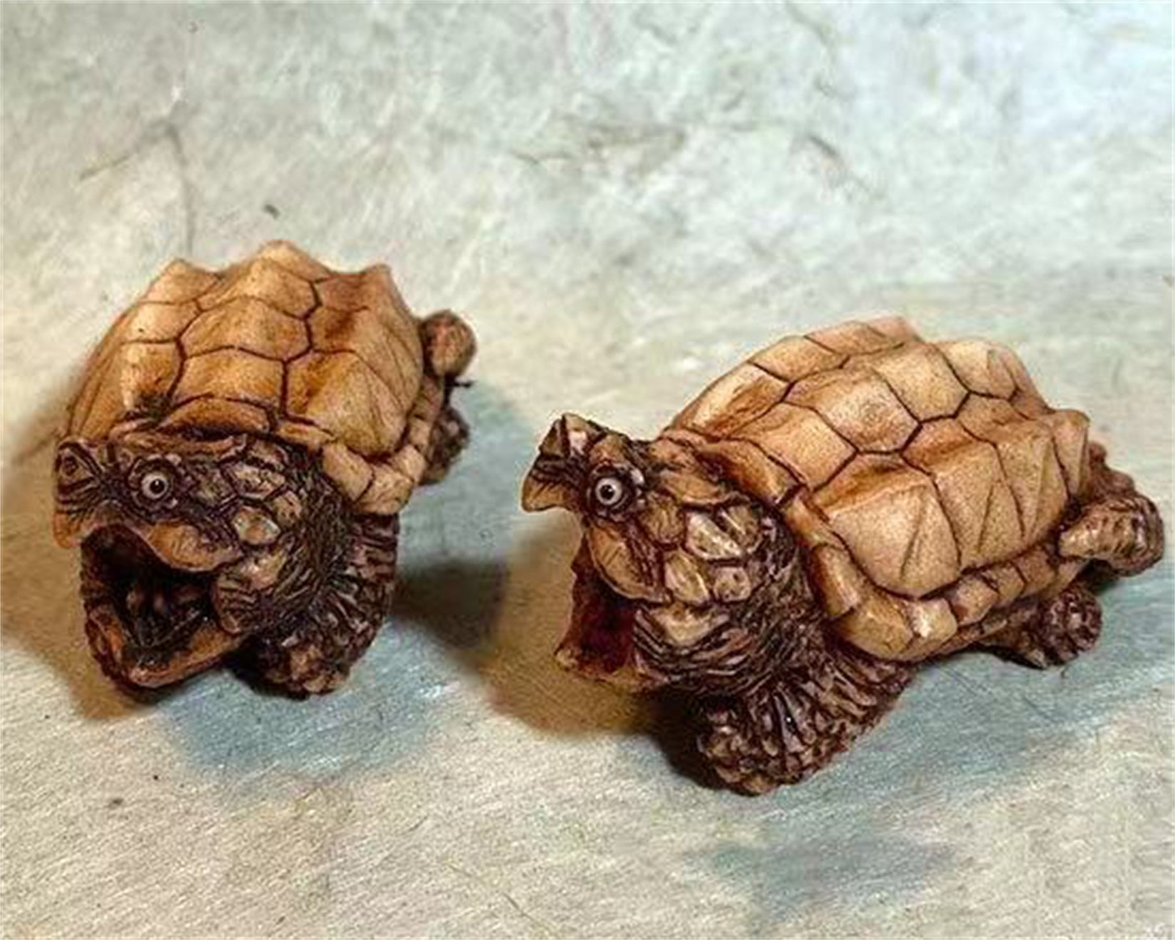 Schildkröten-Serie Tiermodell