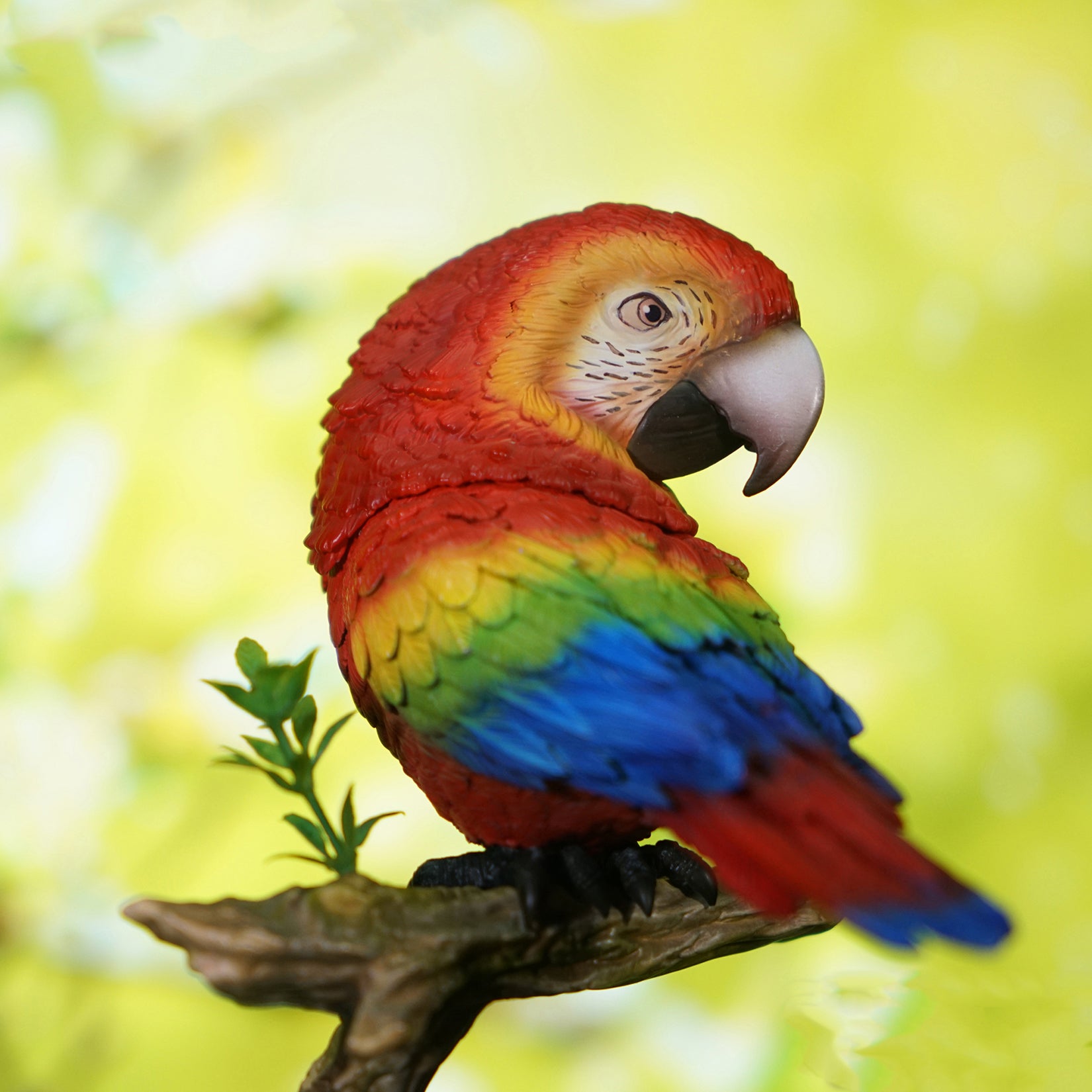 Ara Ararauna & Ara Macao Parrot Model