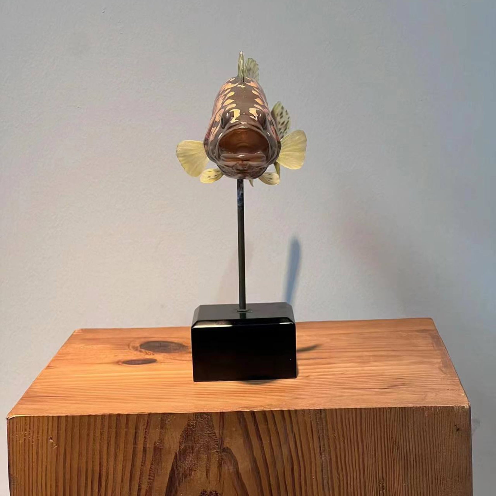 Modèle 3D de Siniperca Scherzeri