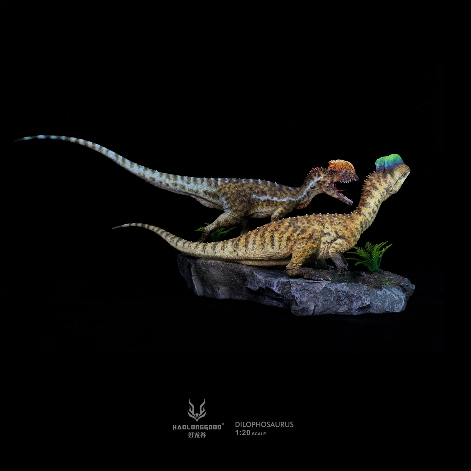 HAOLONGGOOD 1:20 Scale Dilophosaurus Pair Model