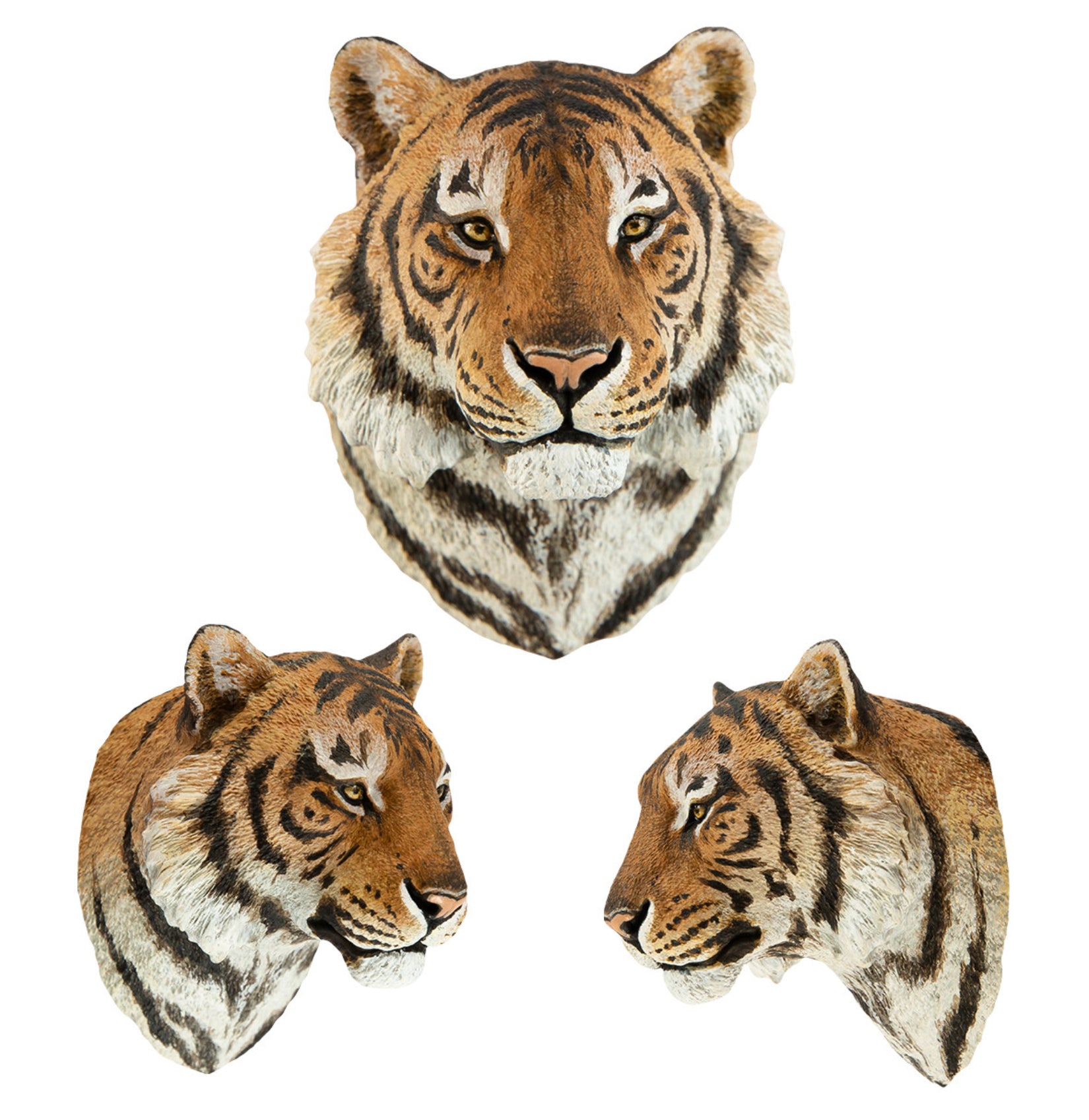 Animal Planet World Encyclopedia Of Animals Volume 2