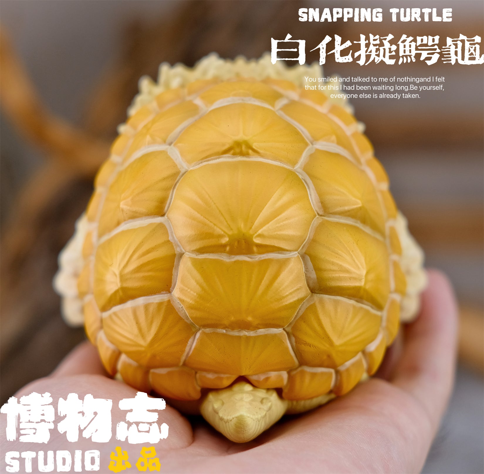 Schildkröten-Serie Tiermodell