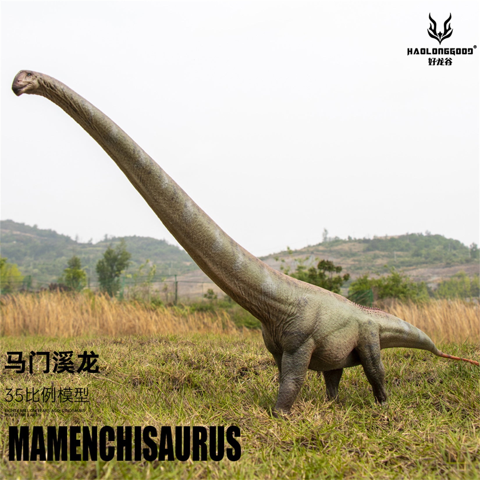 HAOLONGGOOD 1:35 Scale Mamenchisaurus Model