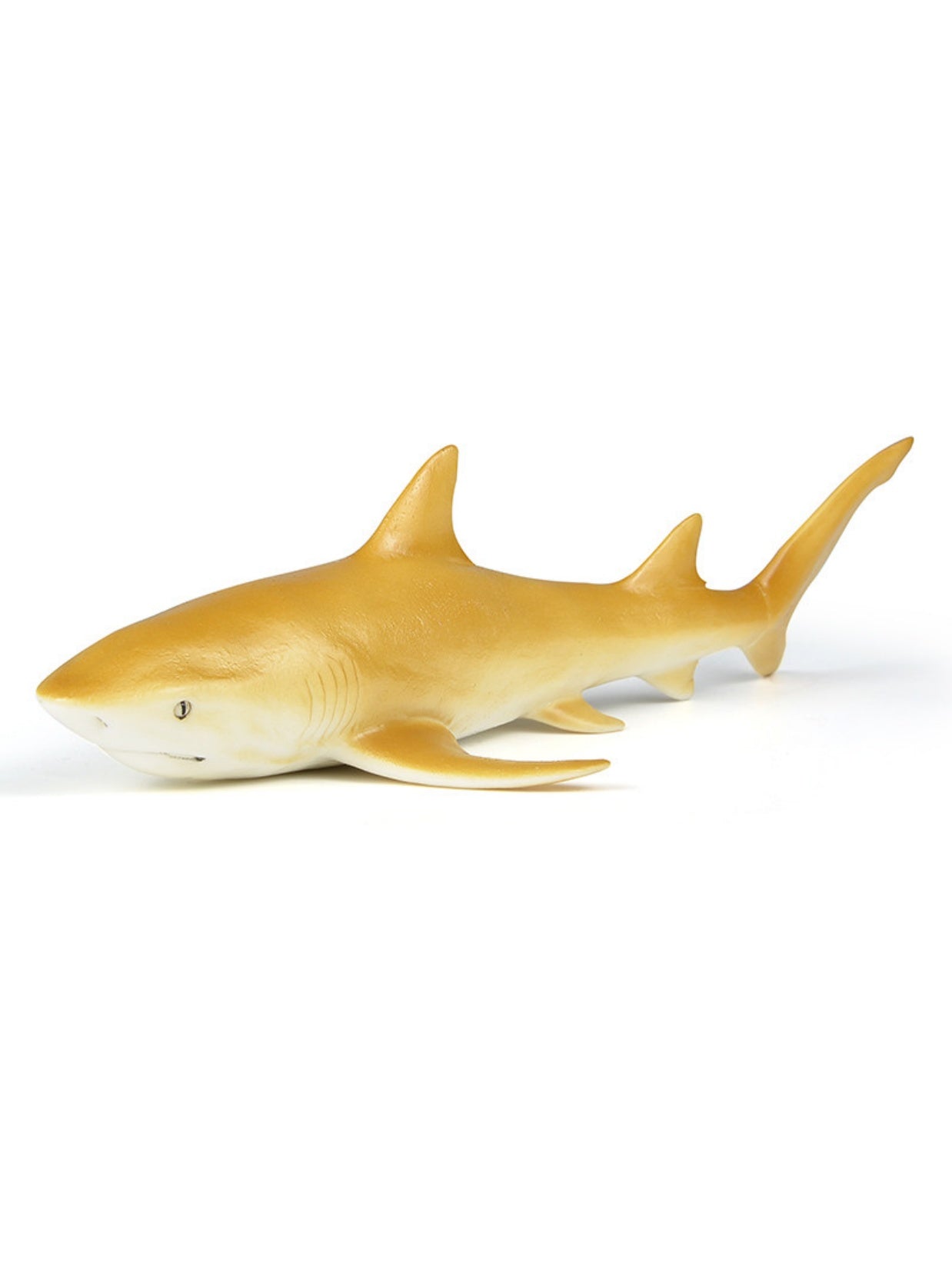 RECUR Lemon Shark Model