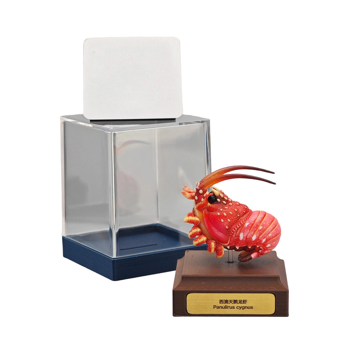 ViVid Studio Western Rock Lobster Figure