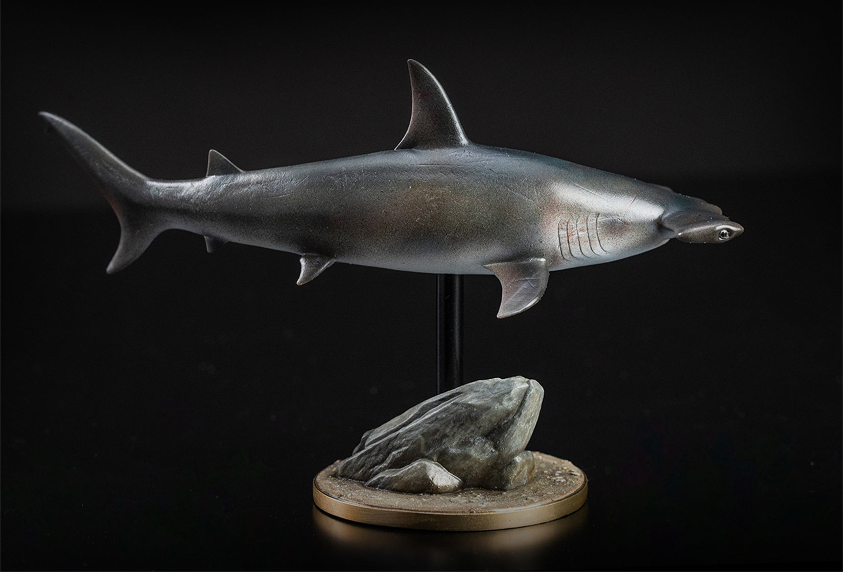 Great Hammerhead Model