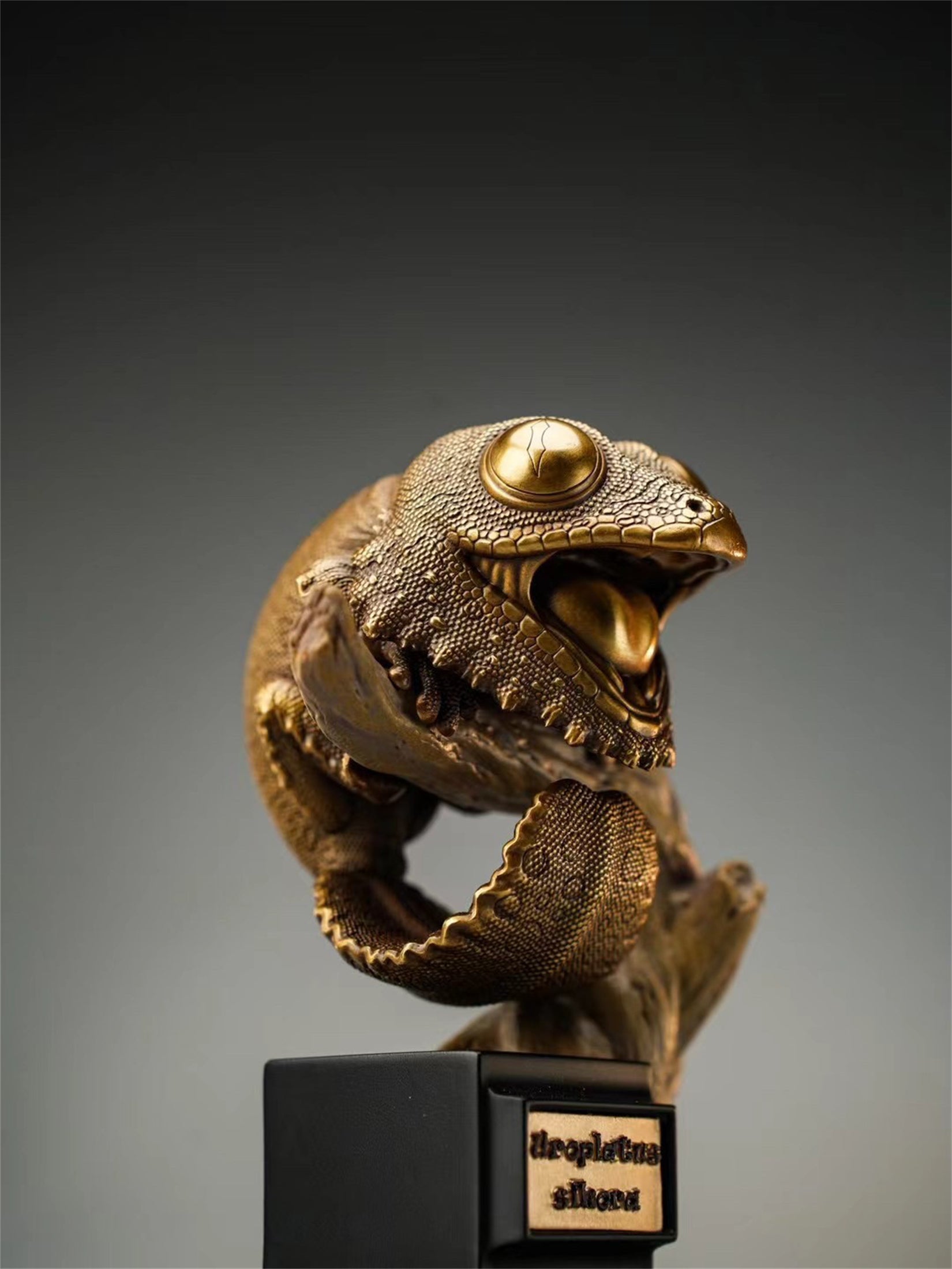 Schildkröten-Serie Tiermodell