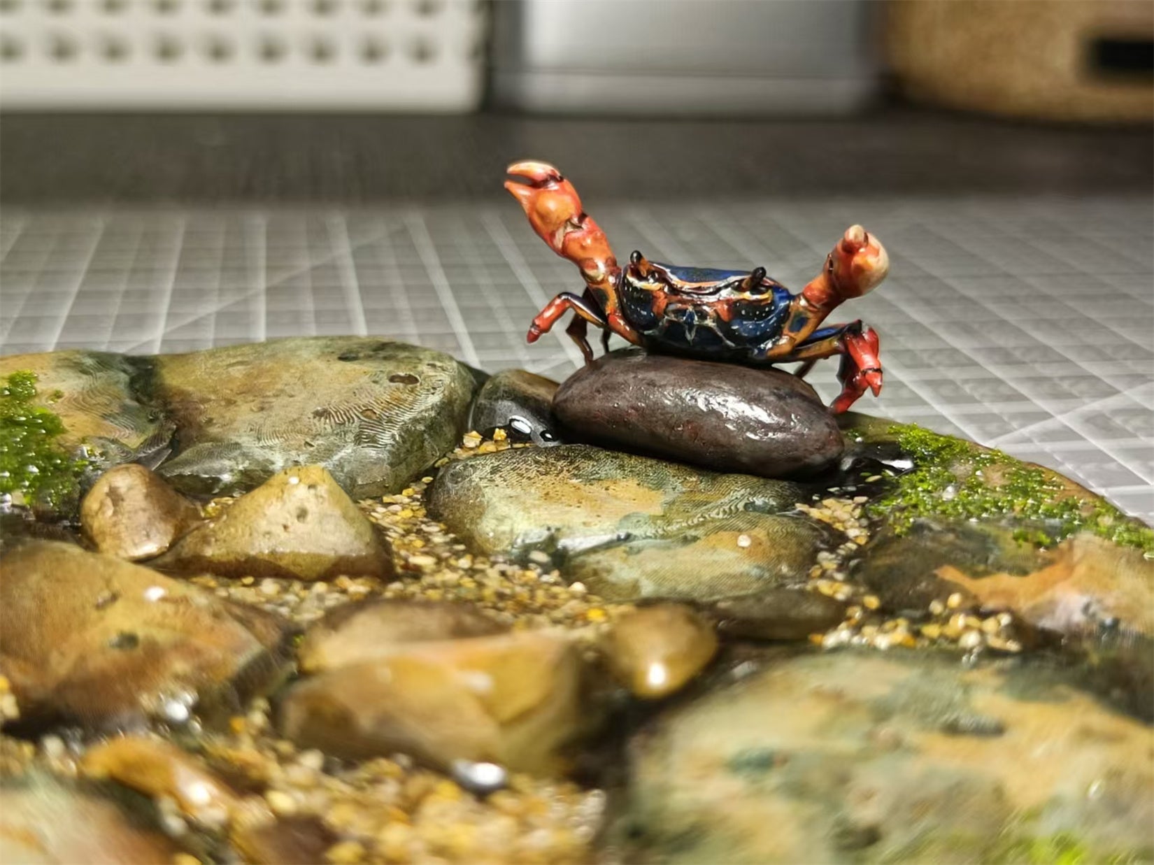 Big-headed Turtle Model