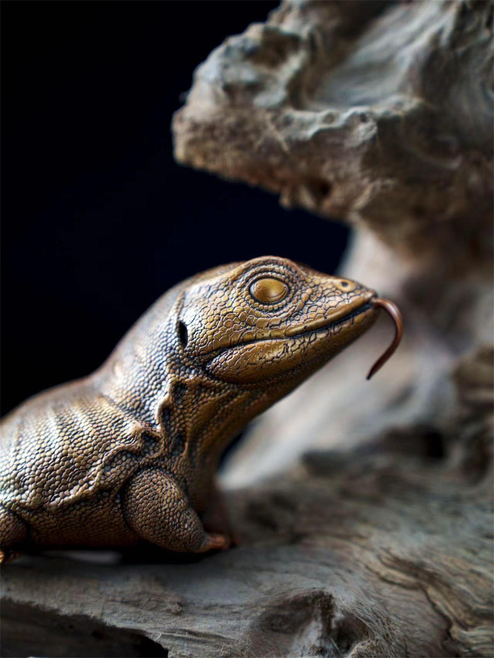 Schildkröten-Serie Tiermodell