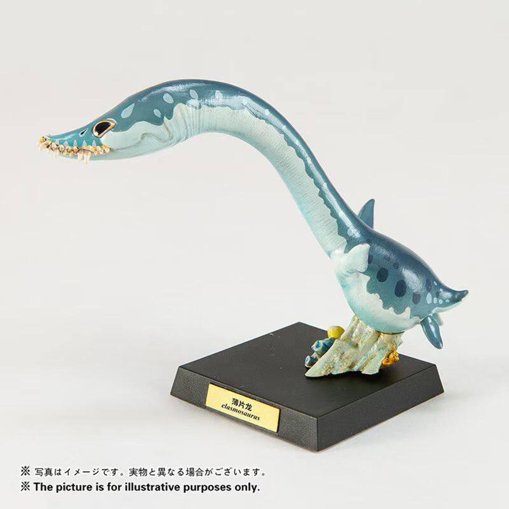 Animal Heavenly Body Elasmosaurus Mosasaurus Liopleurodon Model