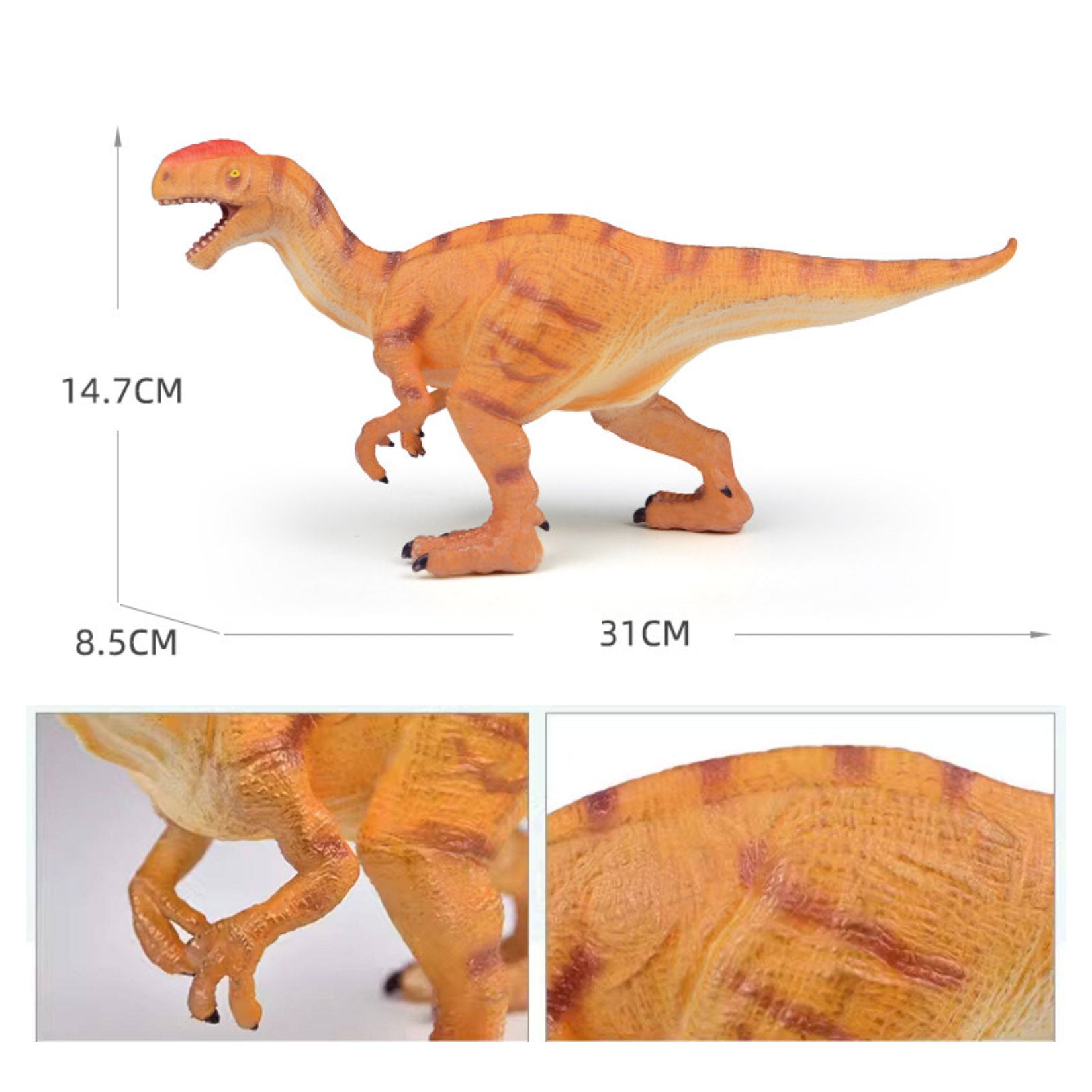 RECUR Monolophosaurus Model