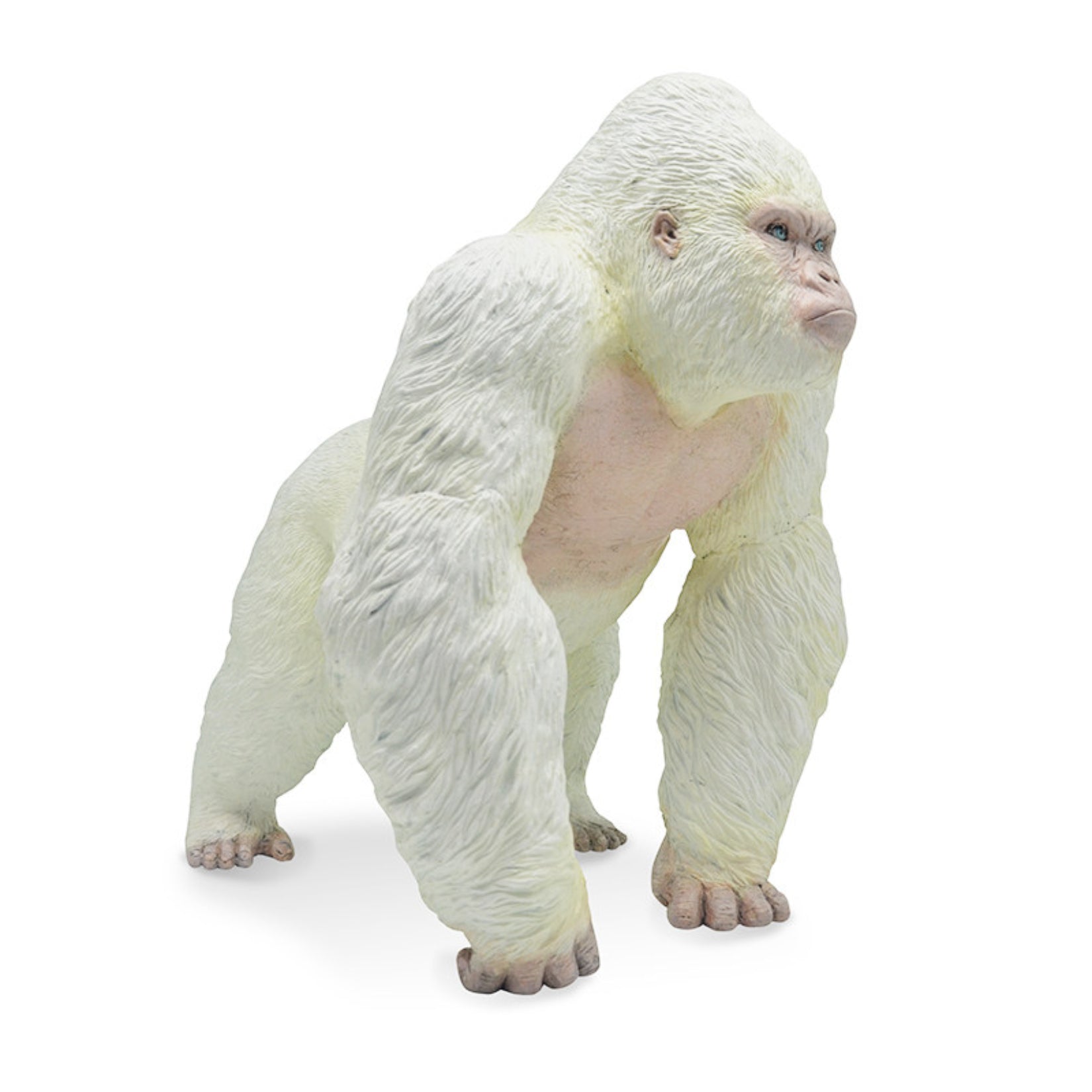 RECUR Gorilla Wild Animal Model