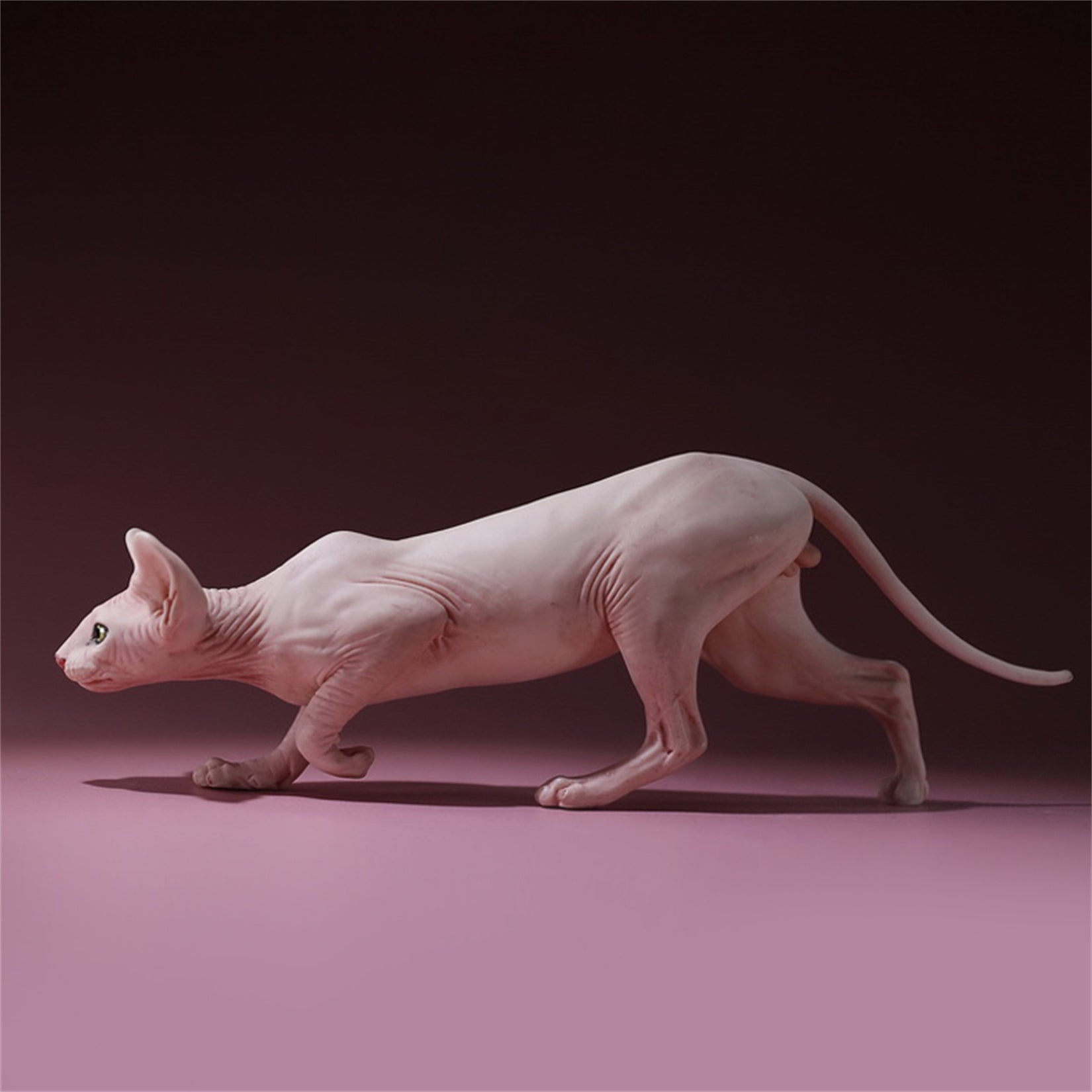 1/6 Canadian Hairless Figure