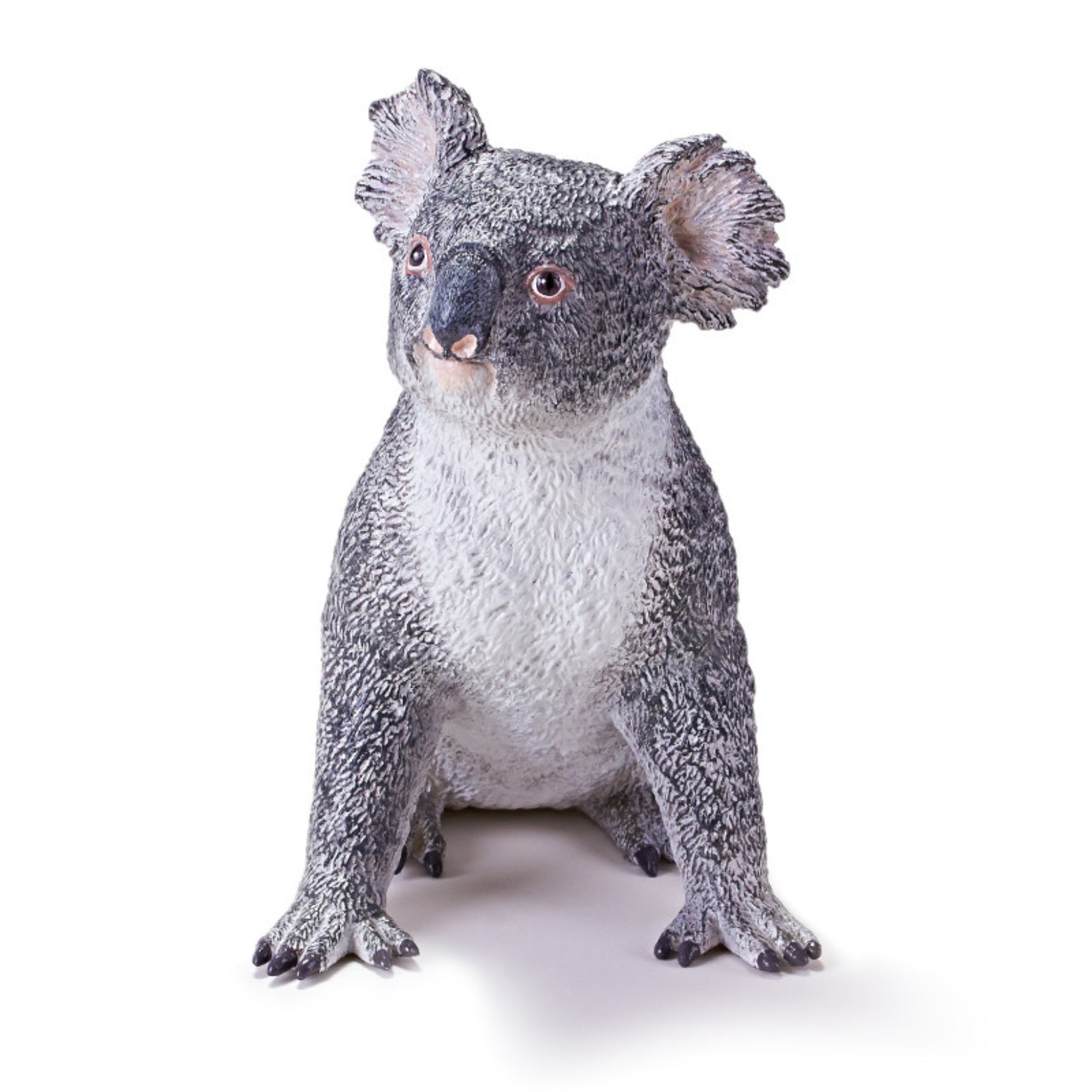 RECUR Koala Animal Model