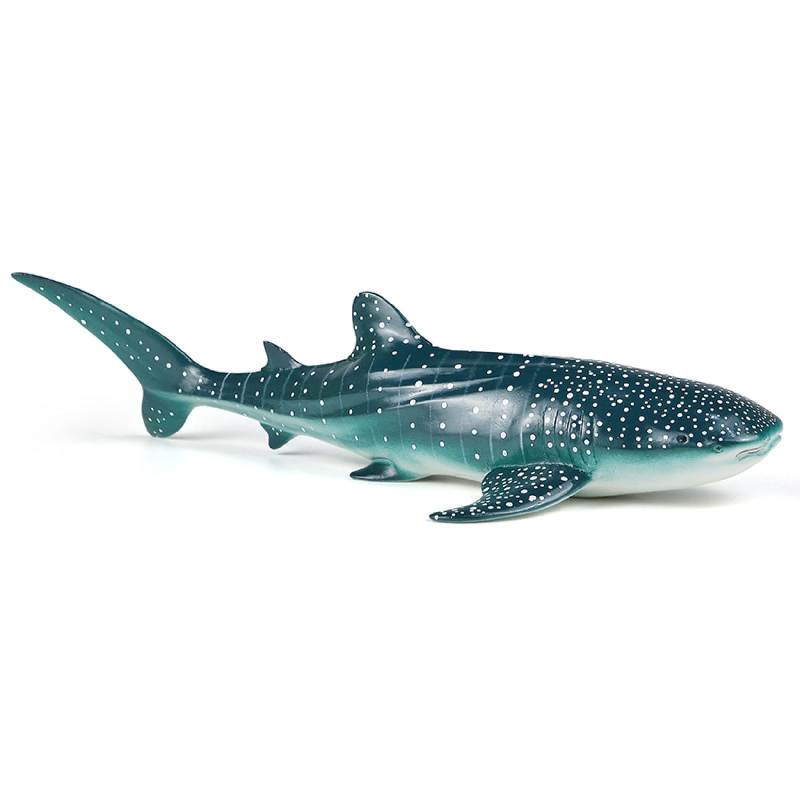 RECUR Whale Shark Model