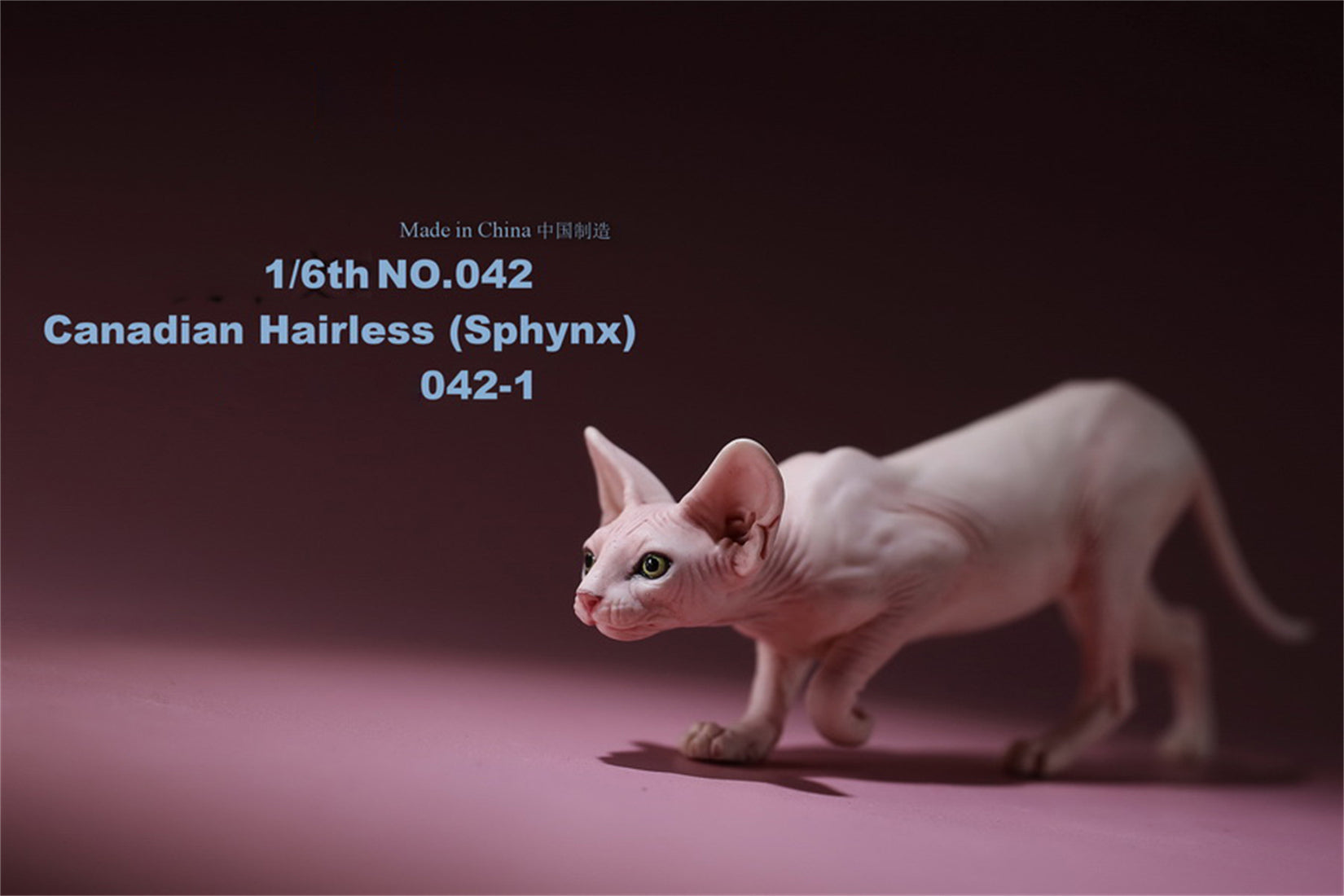 1/6 Canadian Hairless Figure
