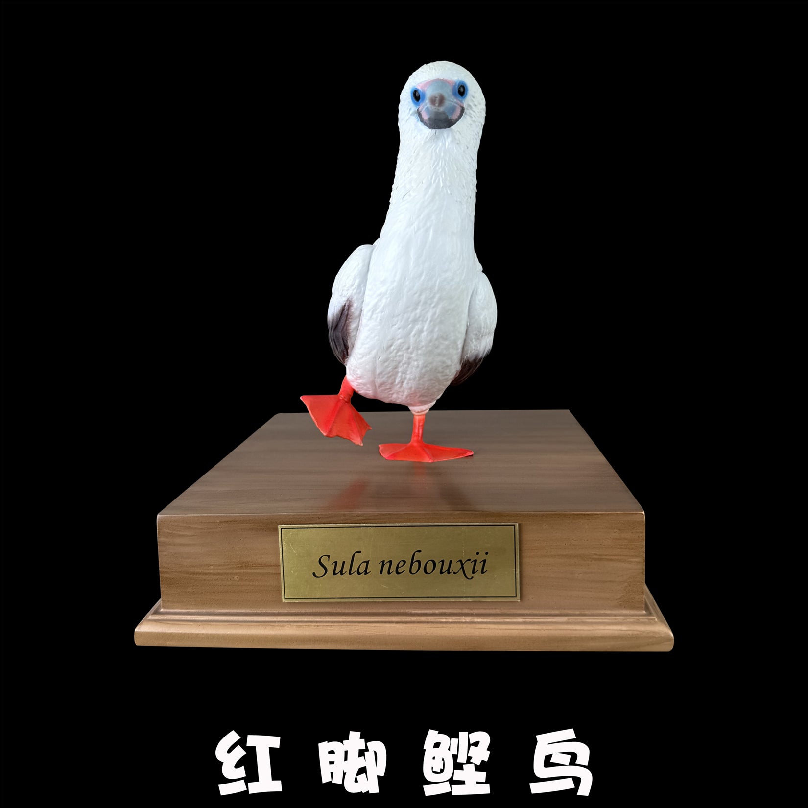 BOWUZHI Studio Red-Footed Booby Bird Figurine