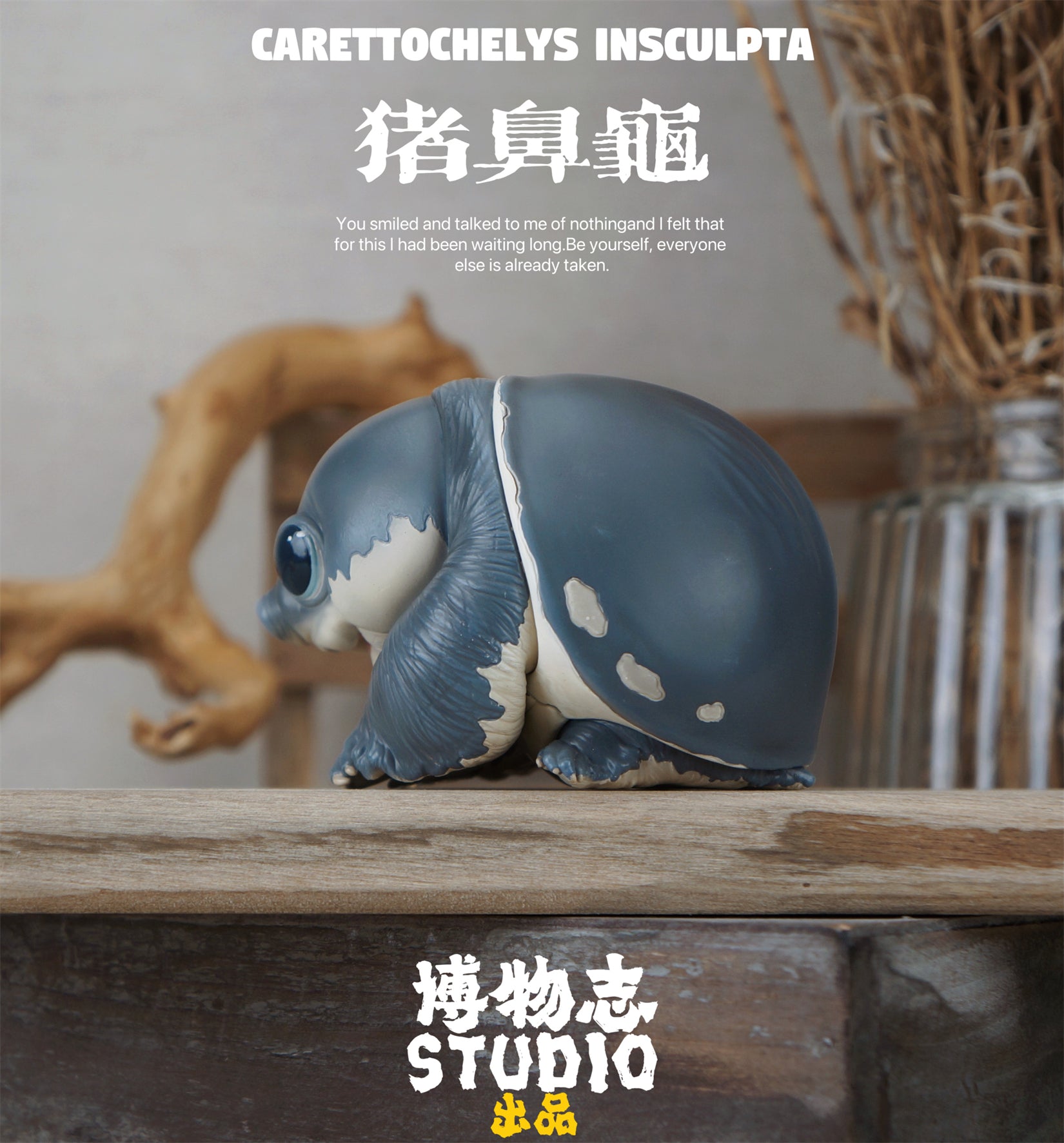 Schildkröten-Serie Tiermodell