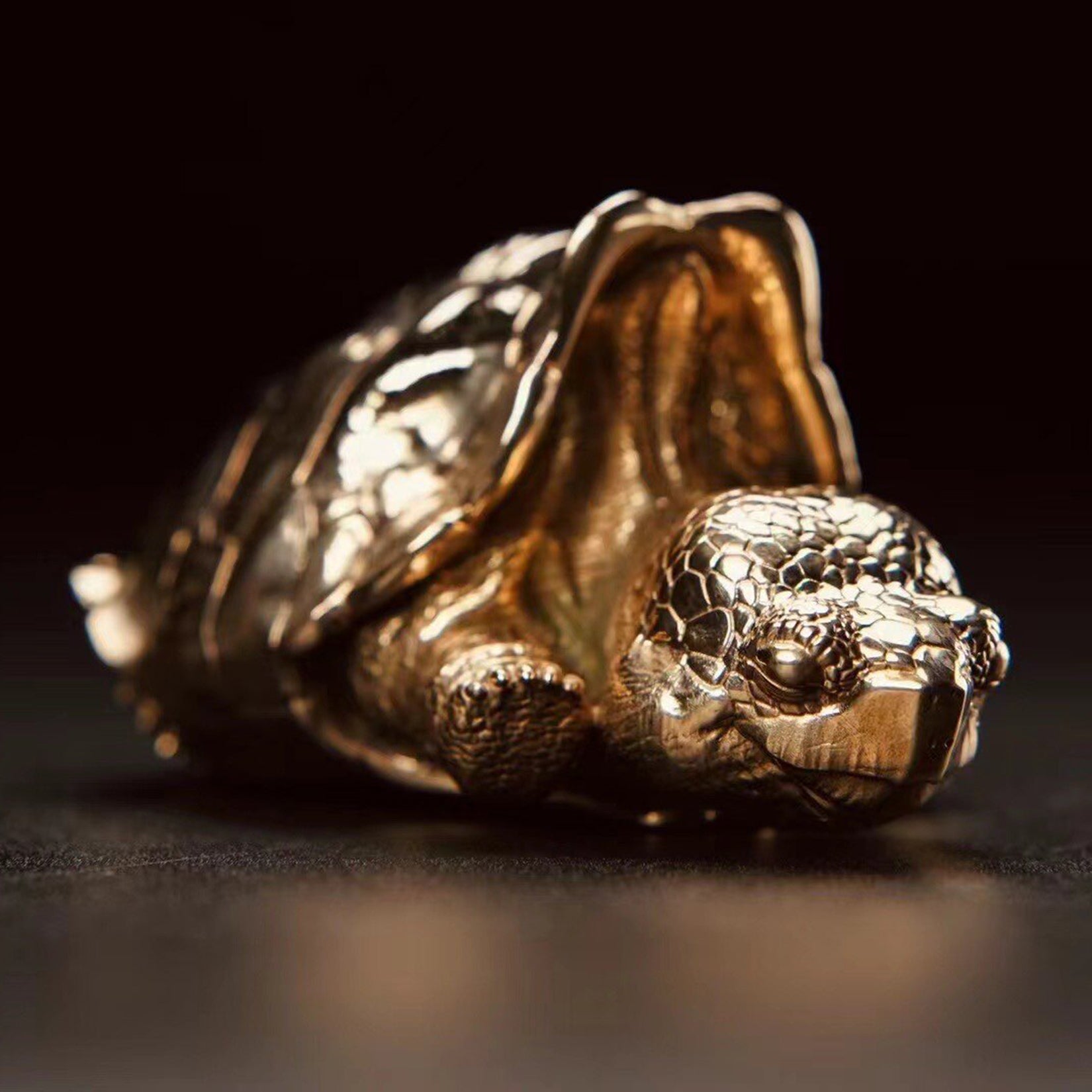 BOWUZHI Studio Galapagos Elephant Turtle Model