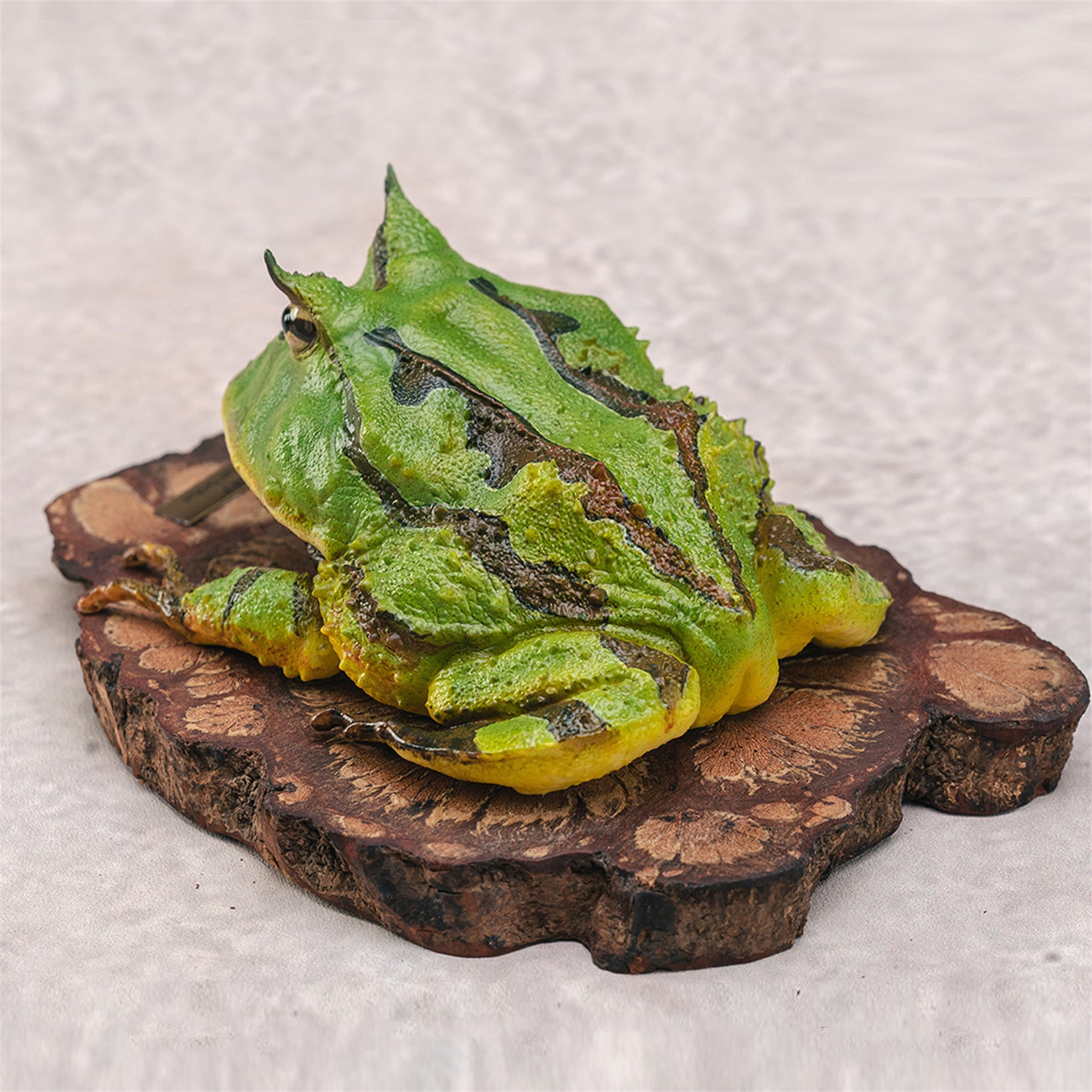 Surinam Horned Frog Model Ceratophrys Cornuta Figure