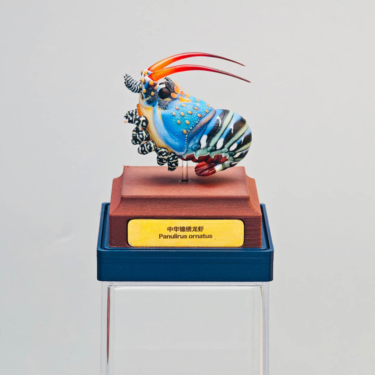 ViVid Studio Ornate Spiny Lobster Model