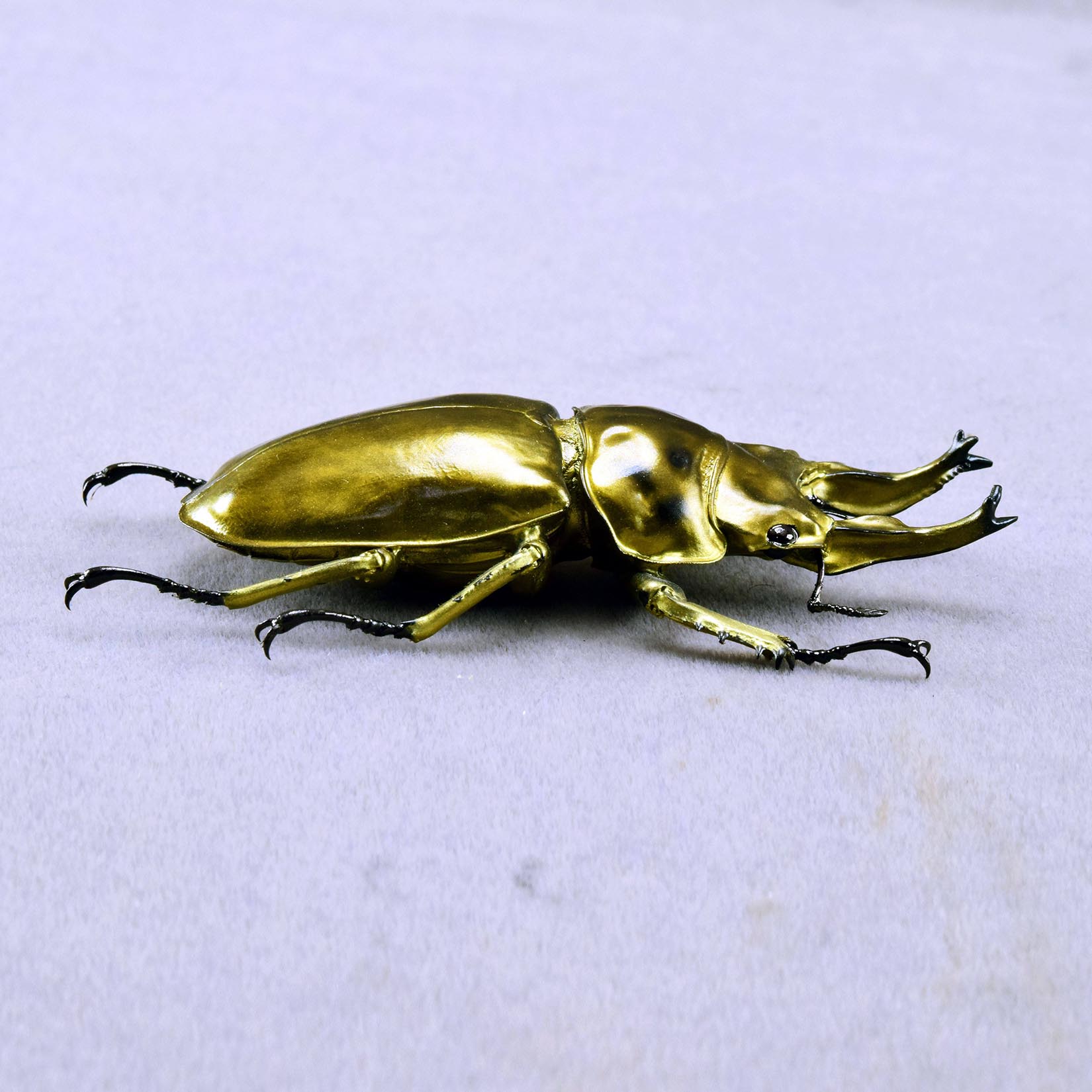 Allotopus Rosenbergi Fridge Magnet Model