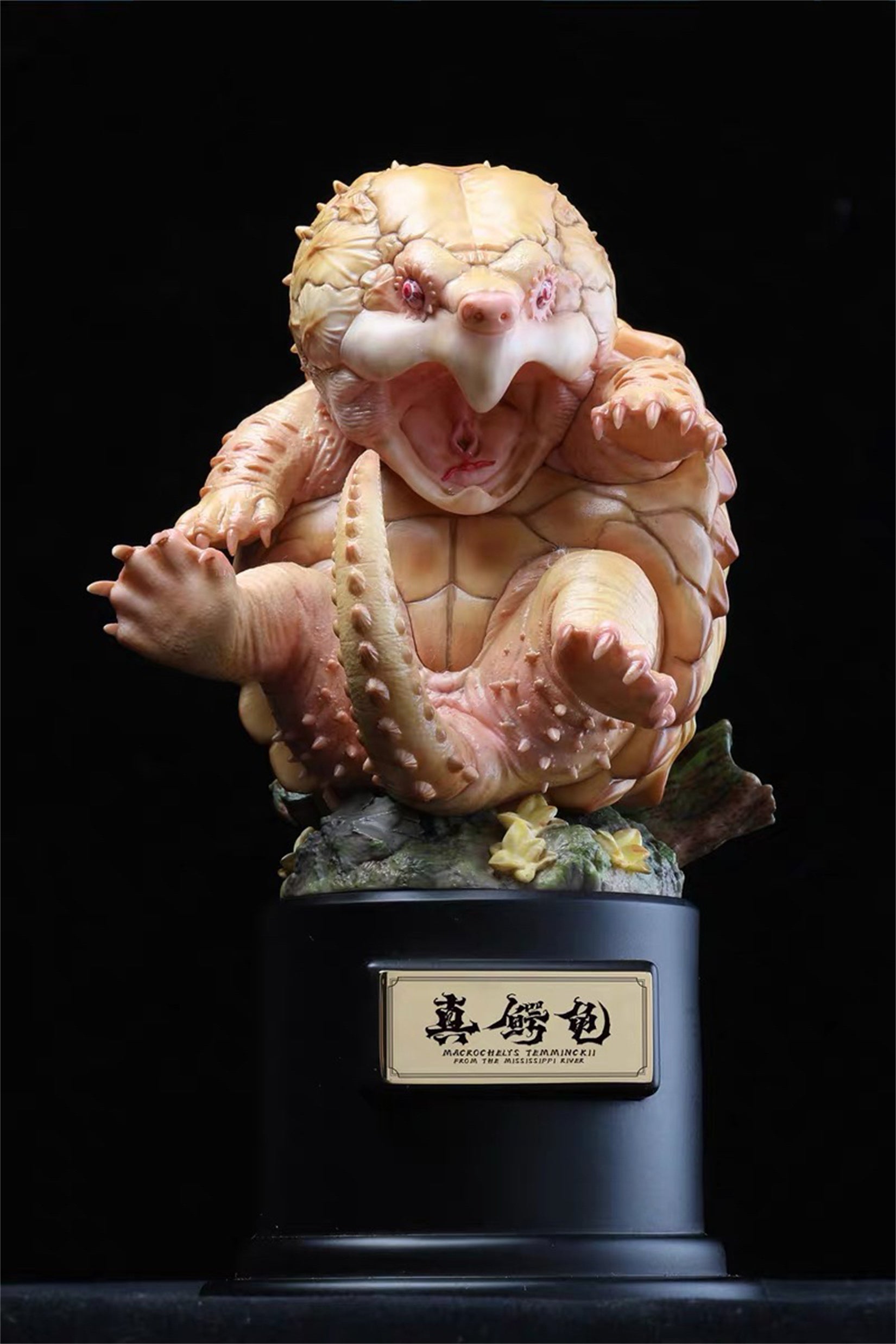 Macrochelys Temminckii Abbildung