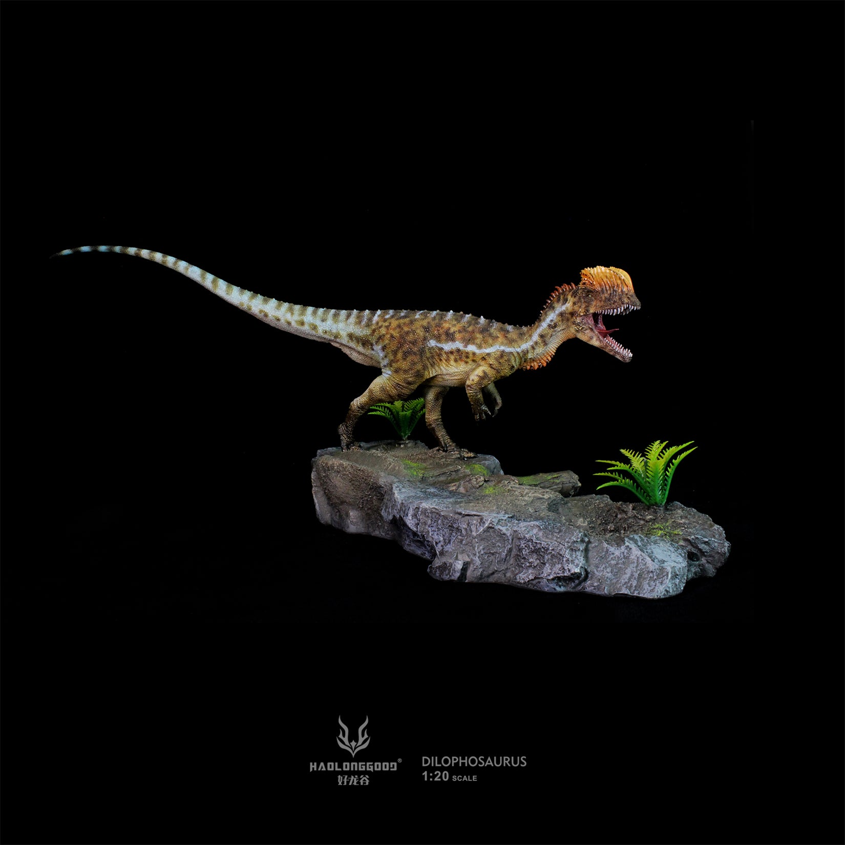 HAOLONGGOOD 1:20 Scale Dilophosaurus Pair Model