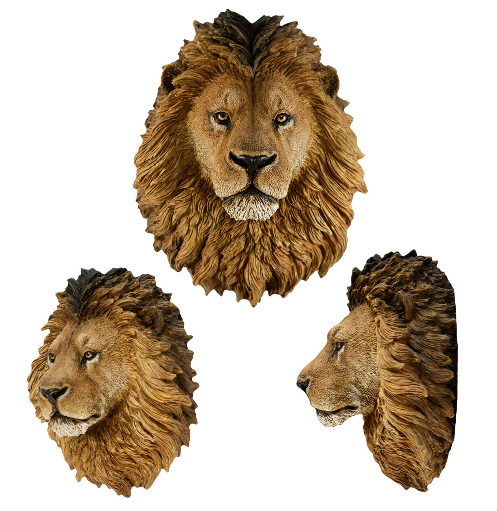 Animal Planet World Encyclopedia Of Animals Volume 2