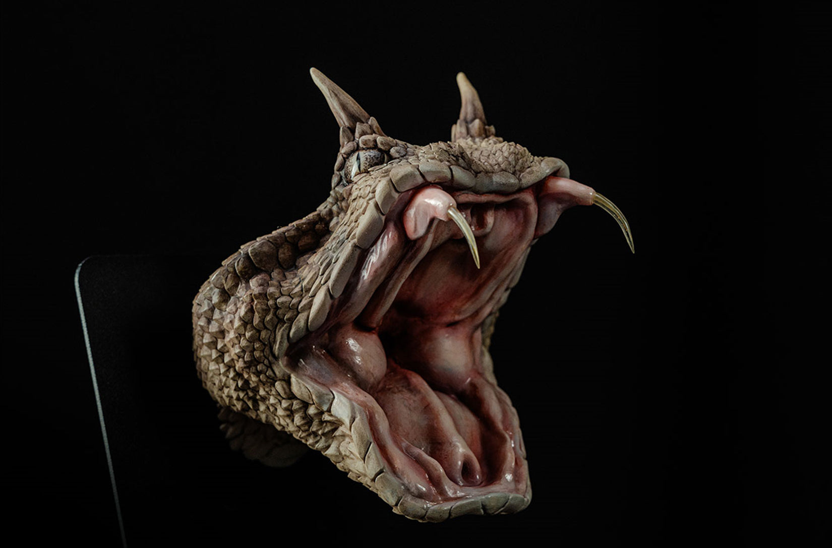 Cerastes Cornutus Snake Model