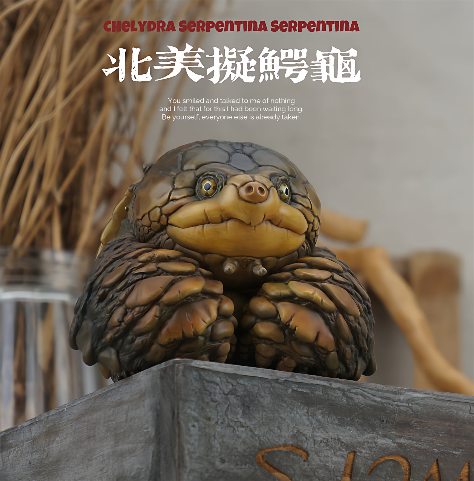 Common Snapping Turtle & Ploughshare Tortoise Figure