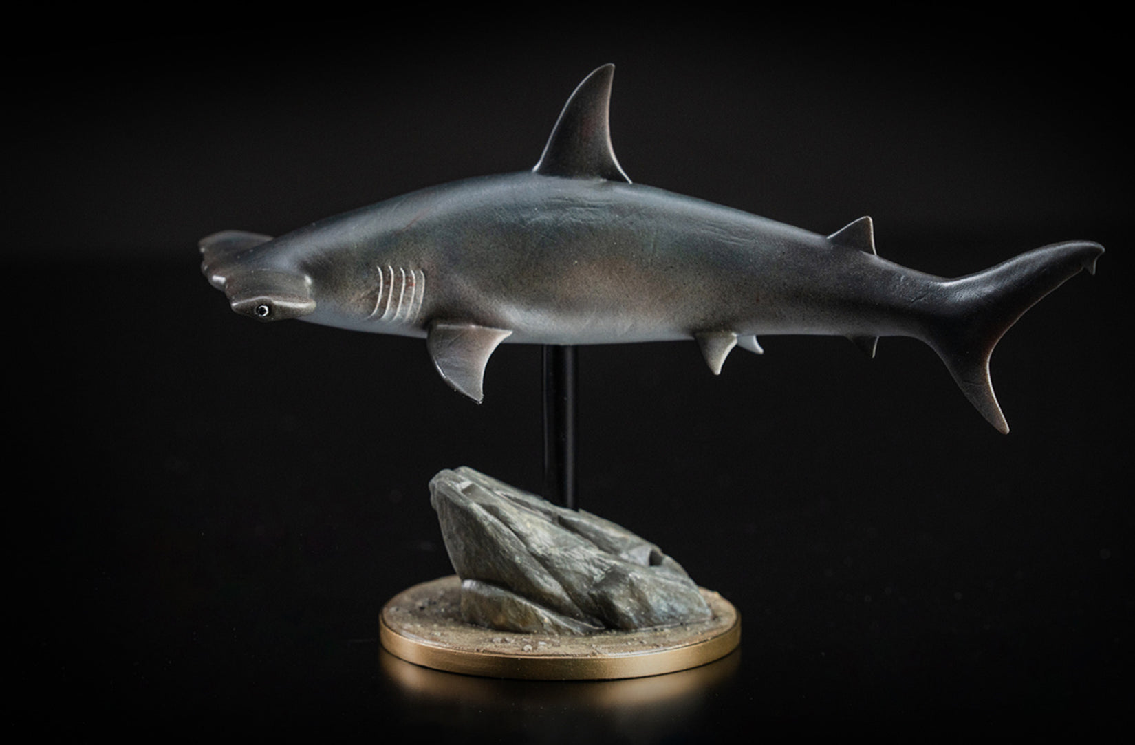 Great Hammerhead Model