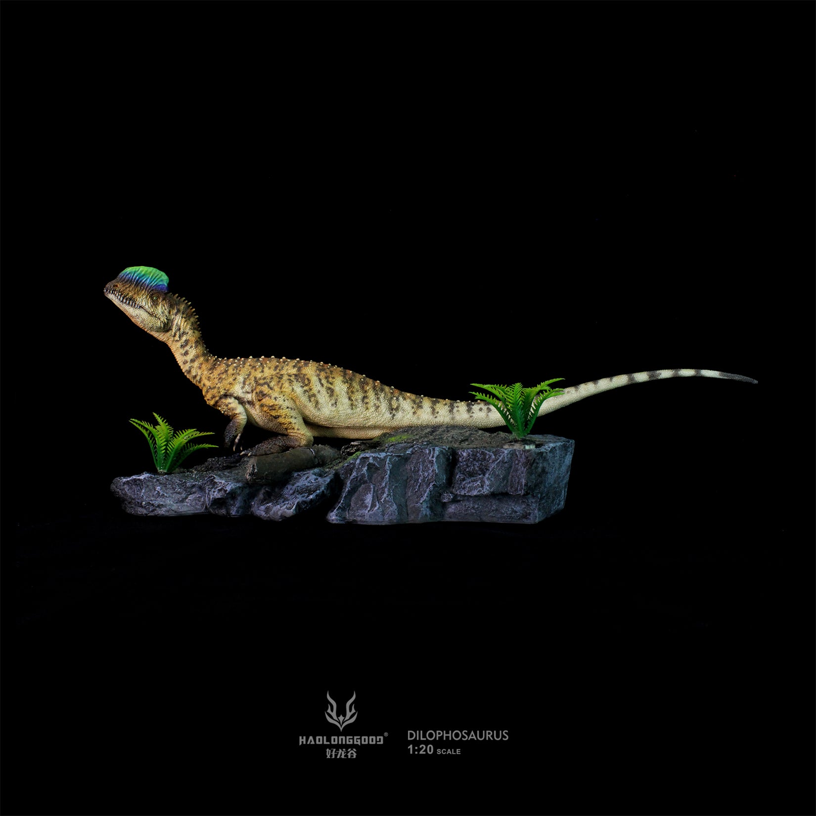 HAOLONGGOOD 1:20 Scale Dilophosaurus Pair Model