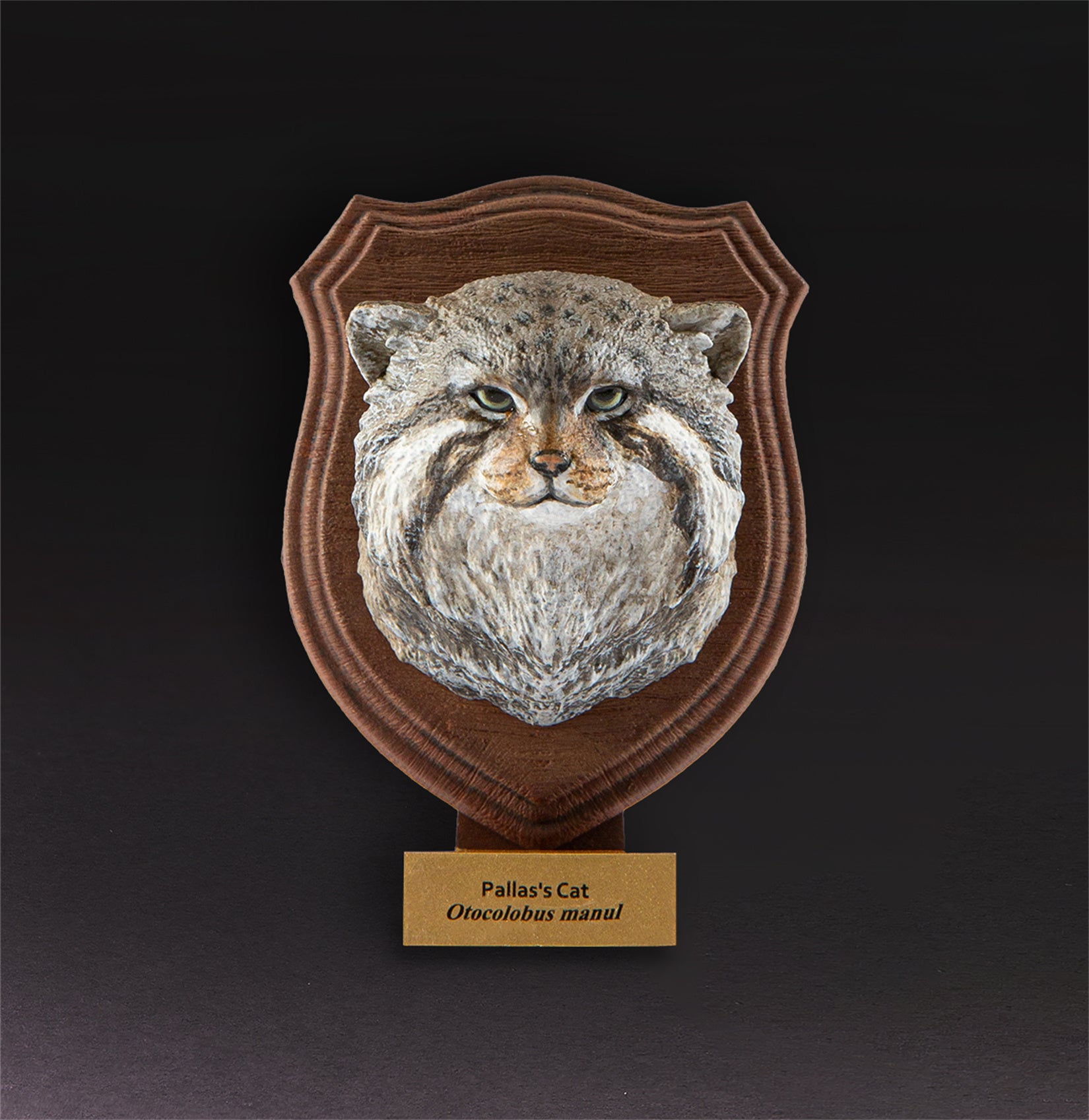 Animal Planet World Encyclopedia Of Animals