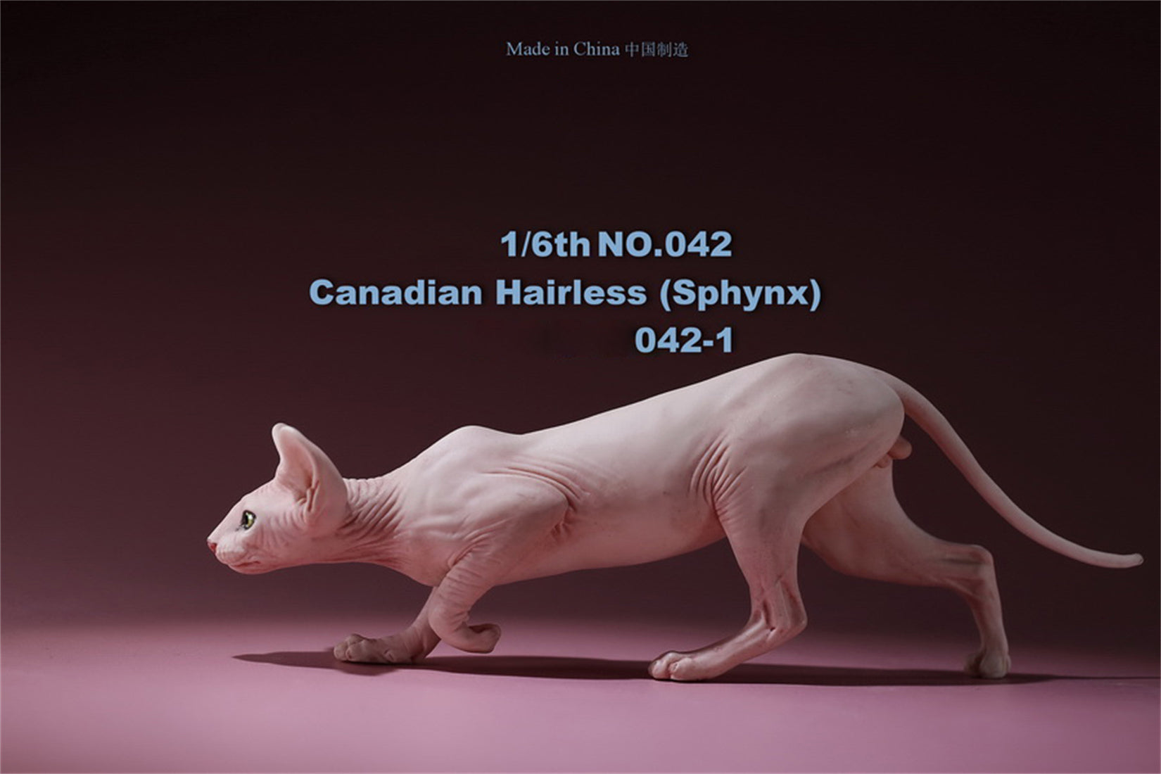 1/6 Canadian Hairless Figure