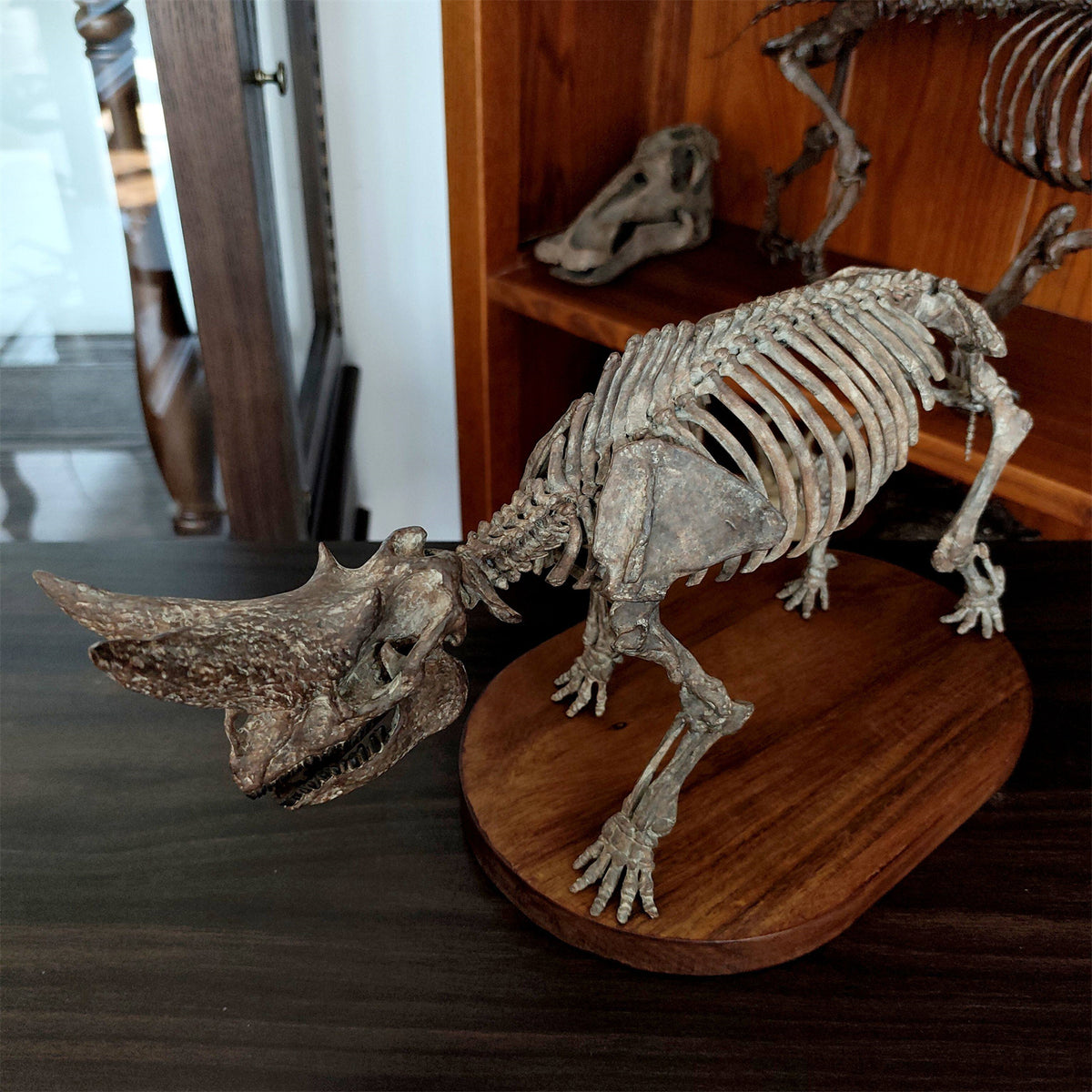 3D Printed 1:18 Scale Arsnoitherium Skeleton Model