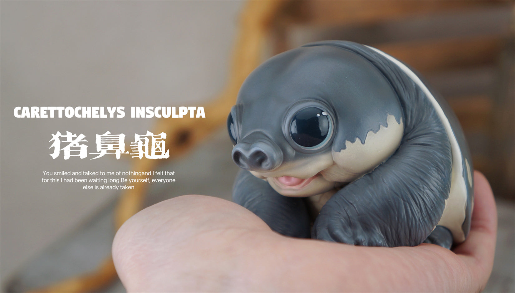 Schildkröten-Serie Tiermodell