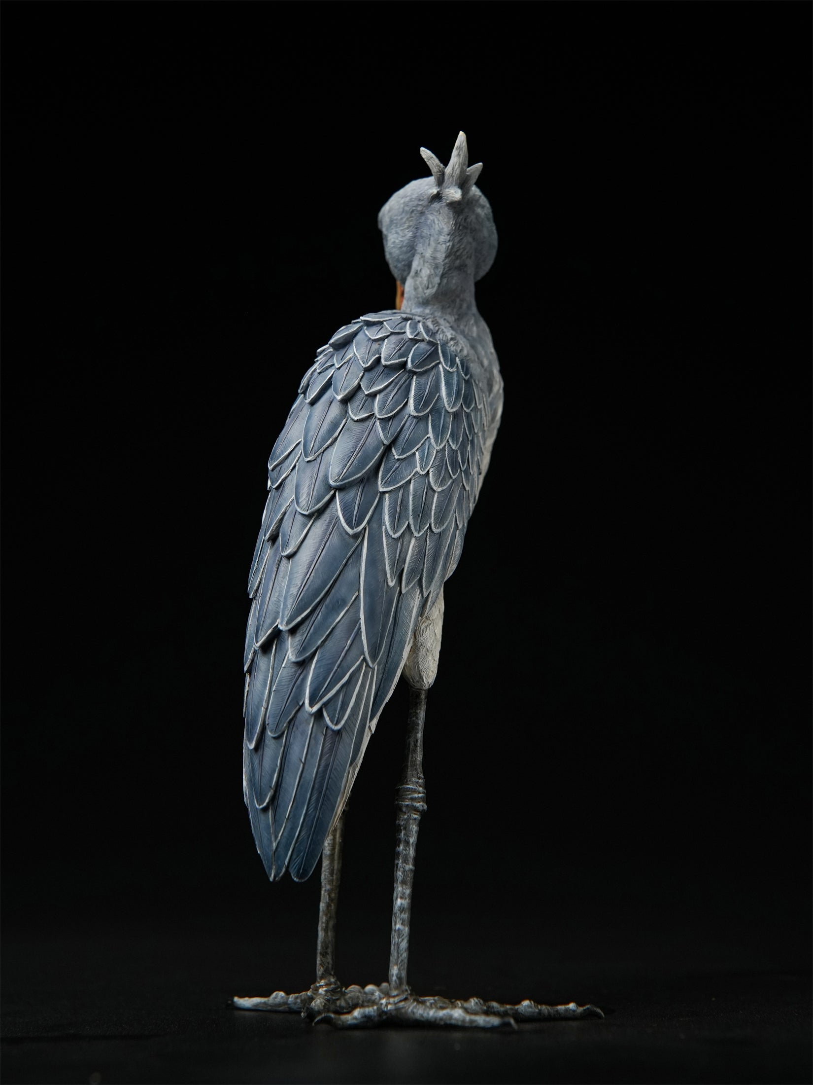 Shoebill Model