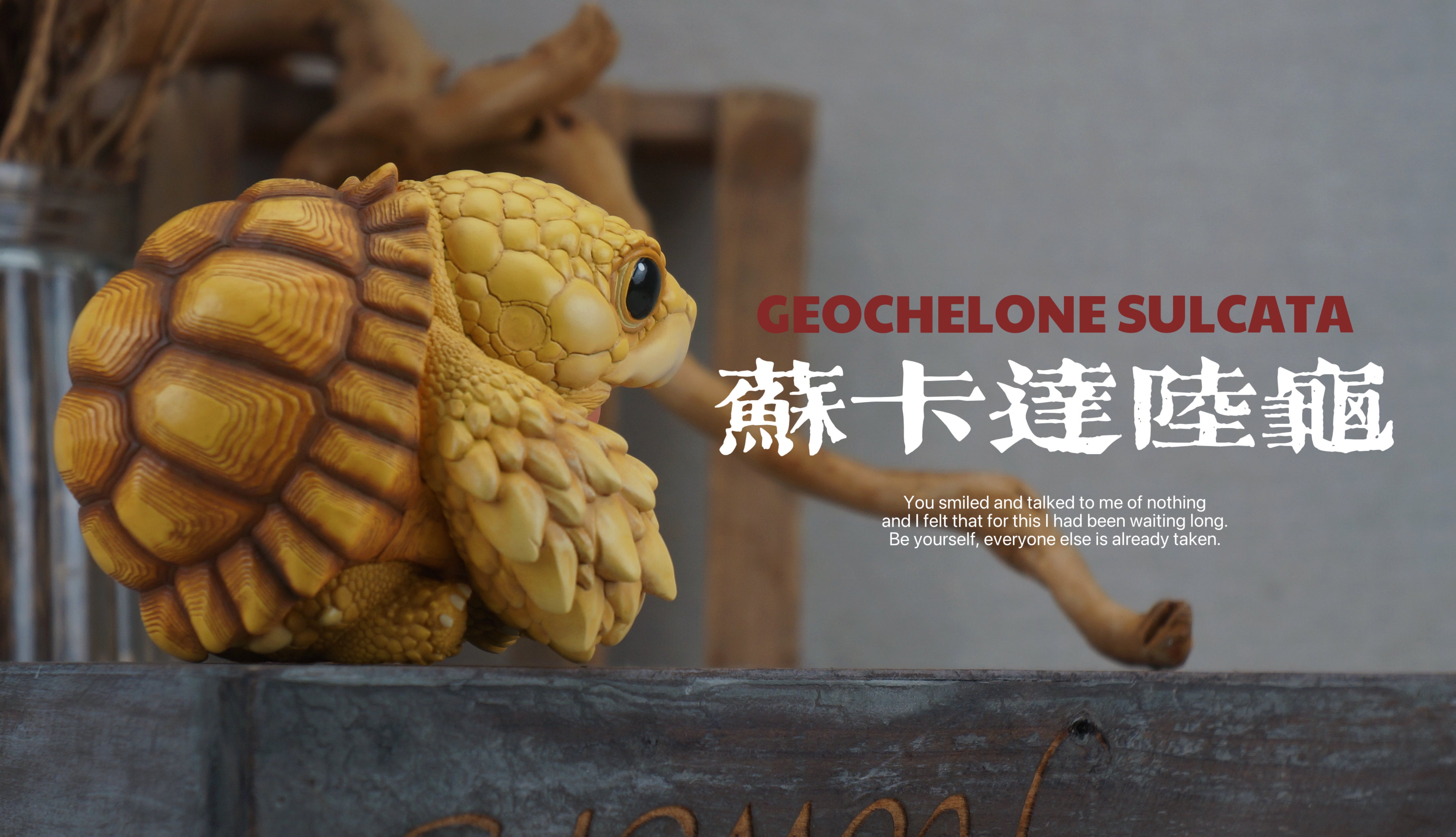 Turtle Model Pet Animal Figure