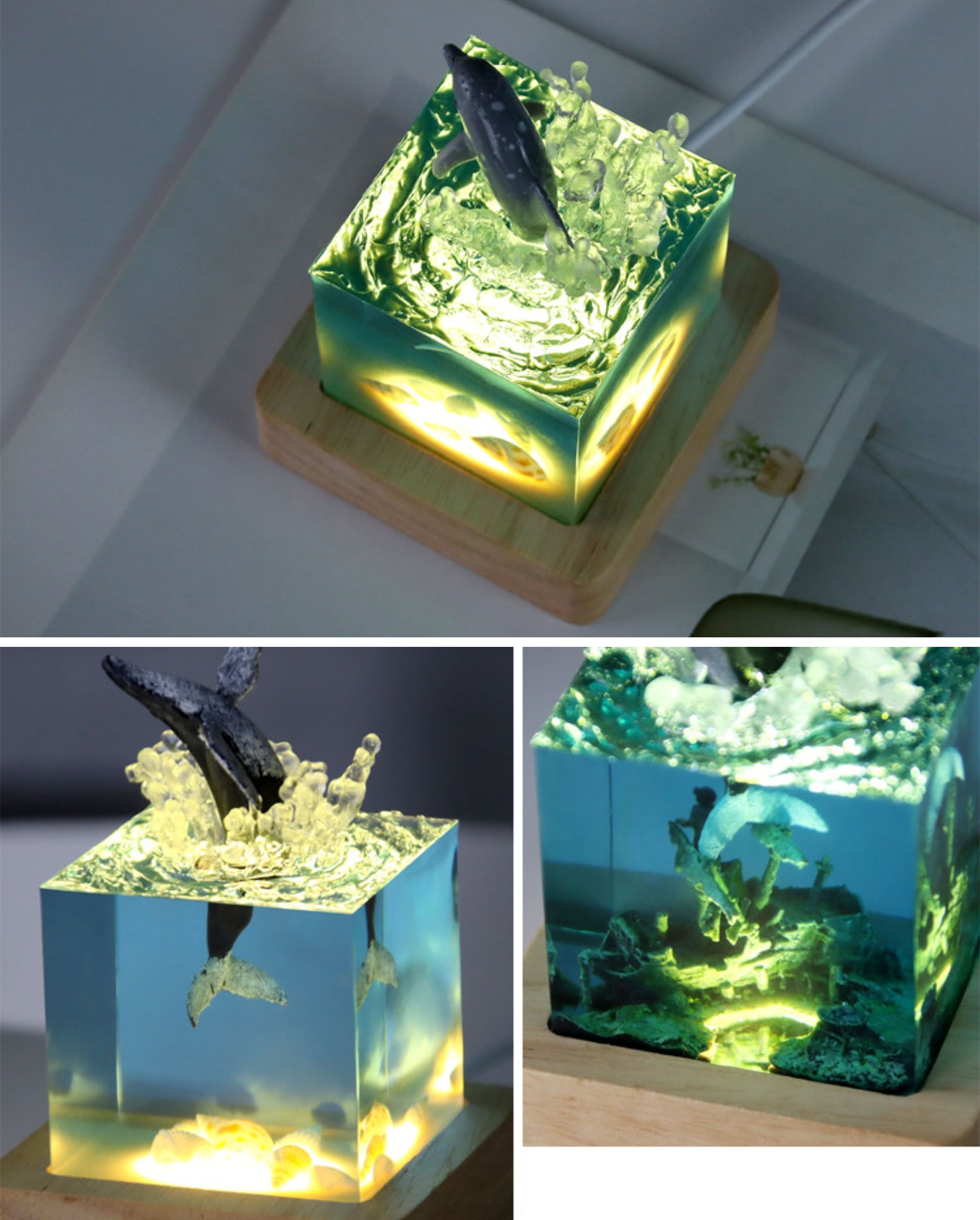 Marine Animal Minimize Scene Unique Design