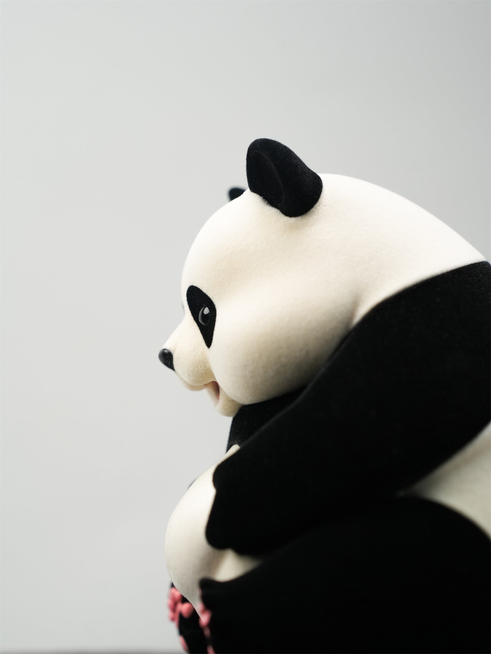 Schildkröten-Serie Tiermodell